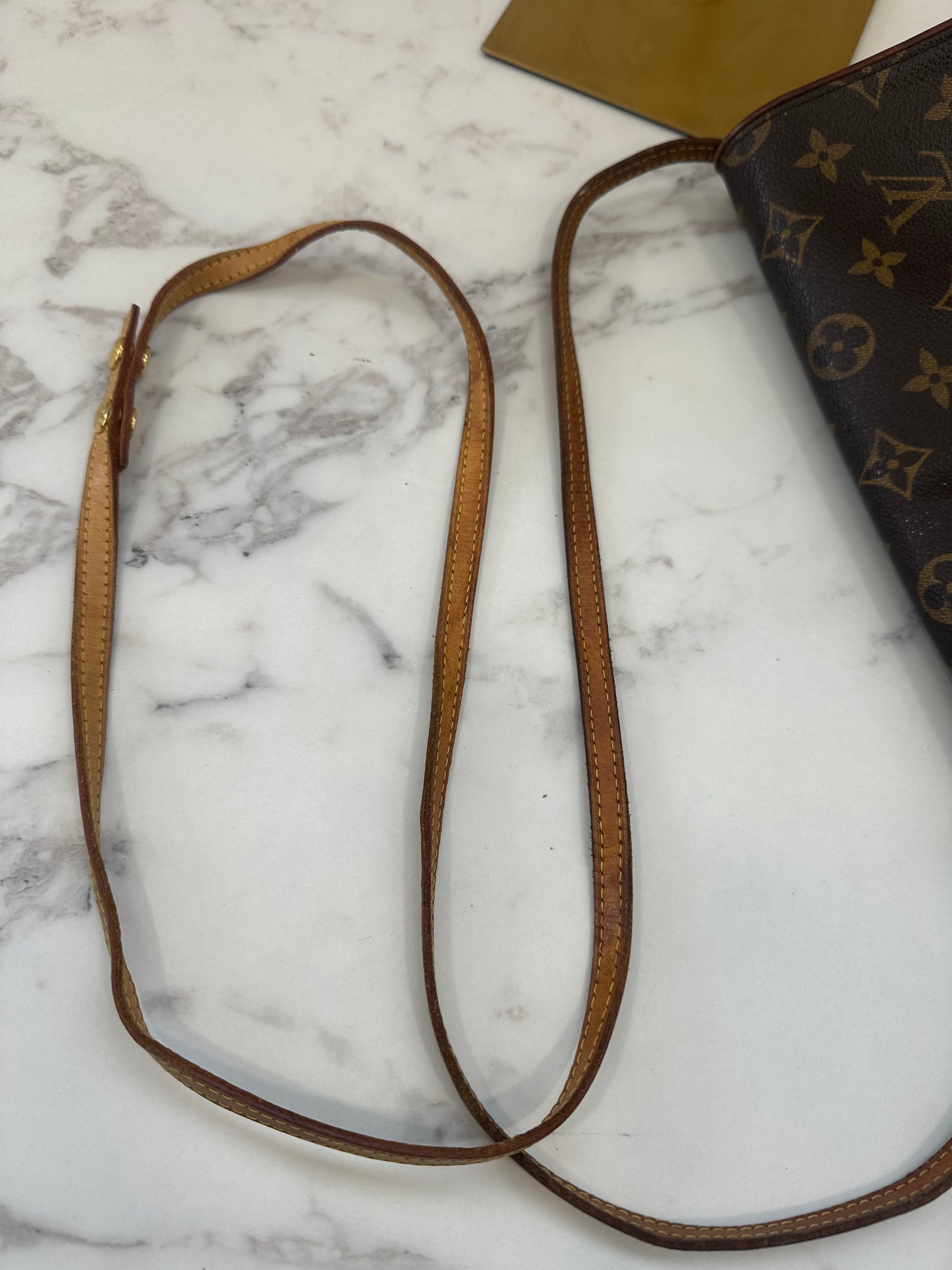 Louis Vuitton Pochette Twin GM