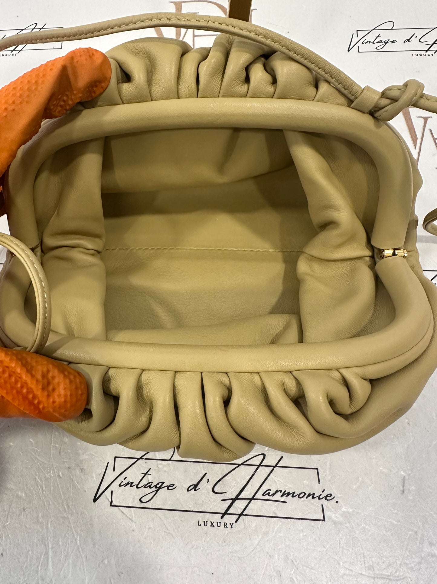 382779 - Bottega Veneta Pouch