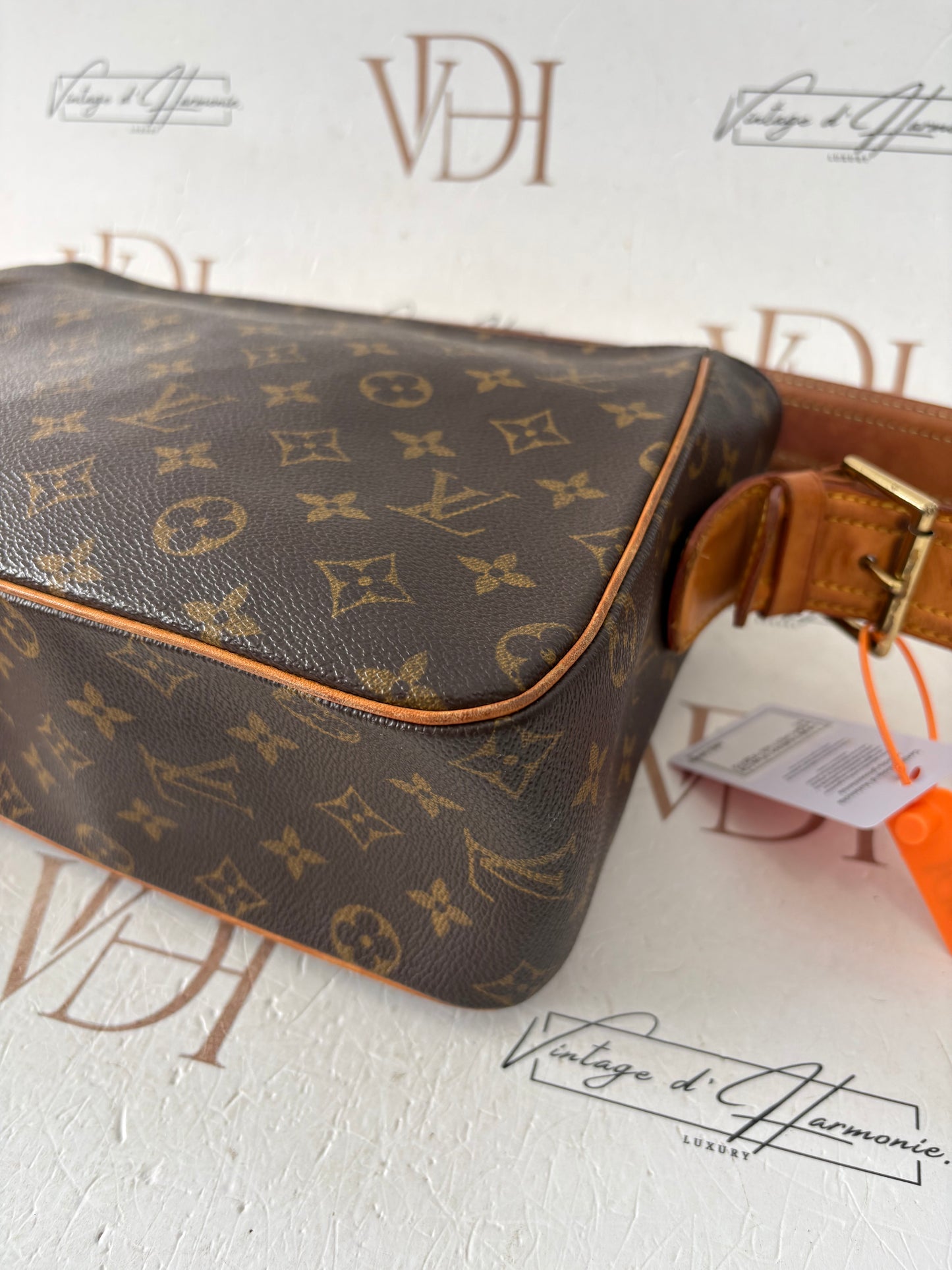 017318 - Louis Vuitton Viva Cite GM