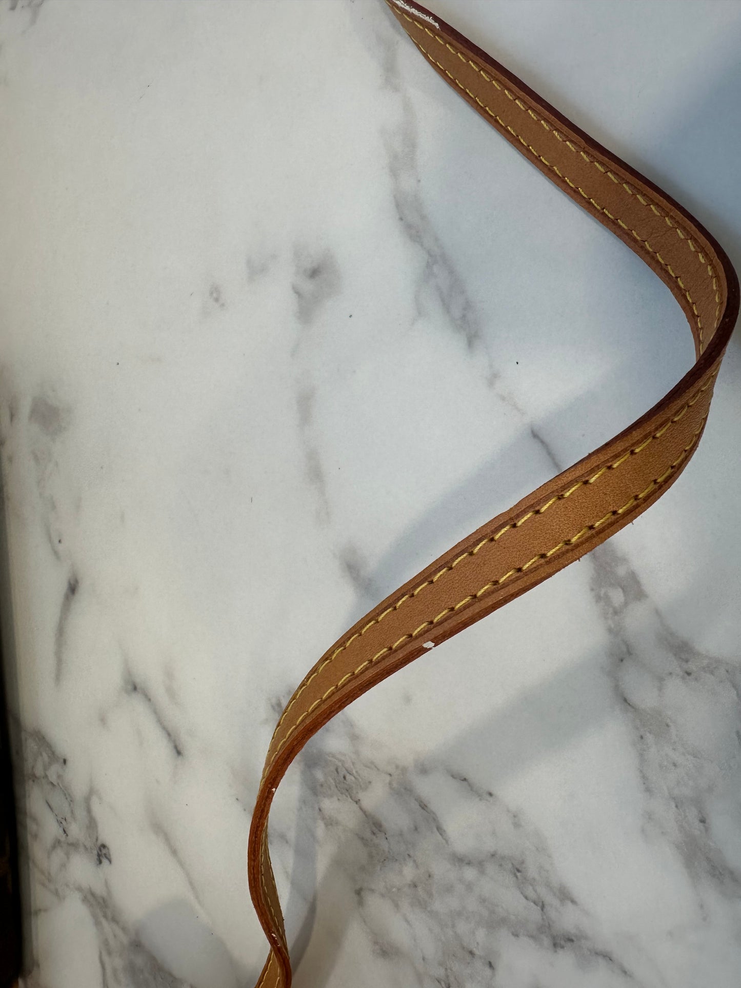 Louis Vuitton Pochette Twin PM