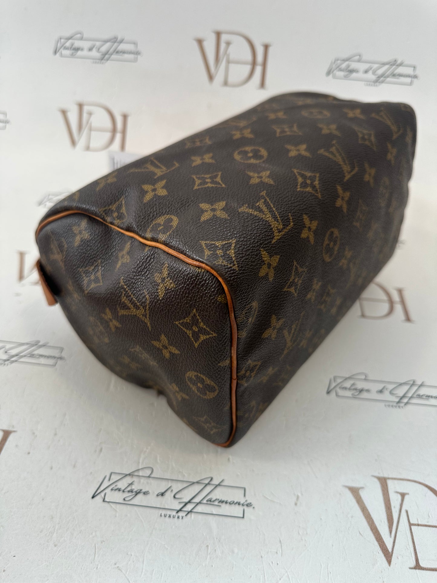 018033 - Louis Vuitton Speedy 25