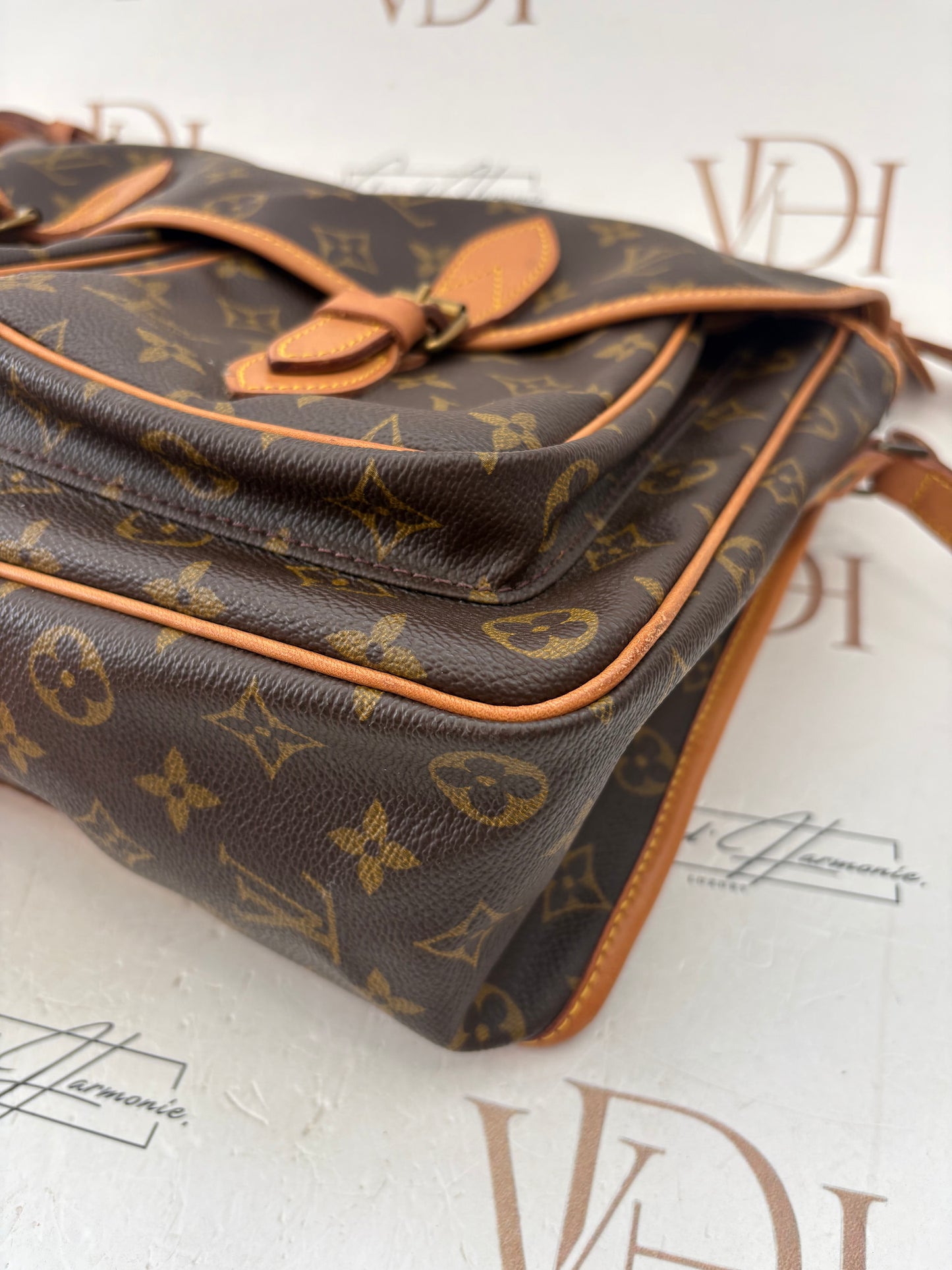 018966 - Louis Vuitton Gibeciere