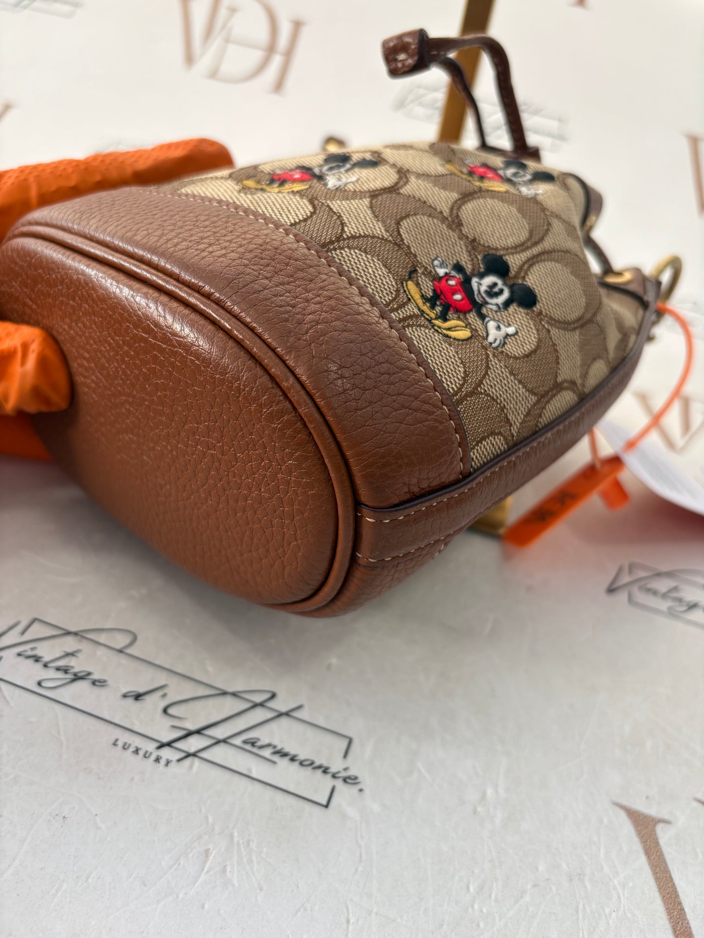 382692 - Coach Disney
