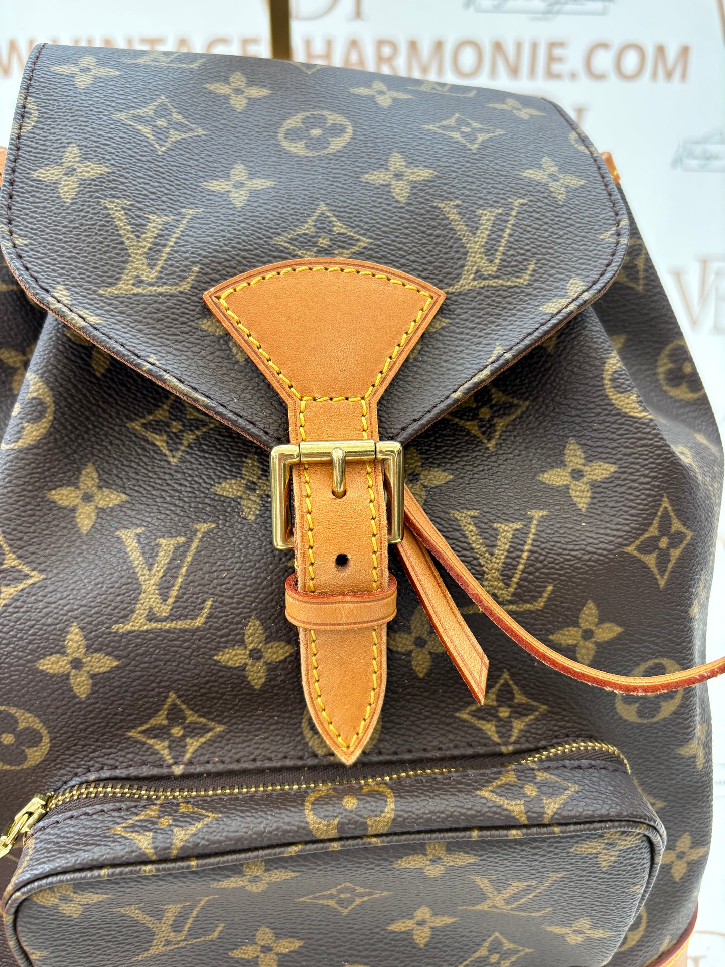 018347 - Louis Vuitton Montsouris MM