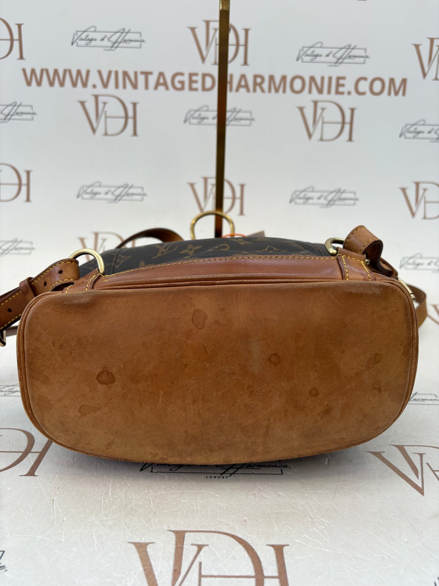016951 - Louis Vuitton Montsouris MM