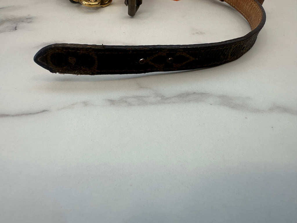 Louis Vuitton Collare+Guinzaglio