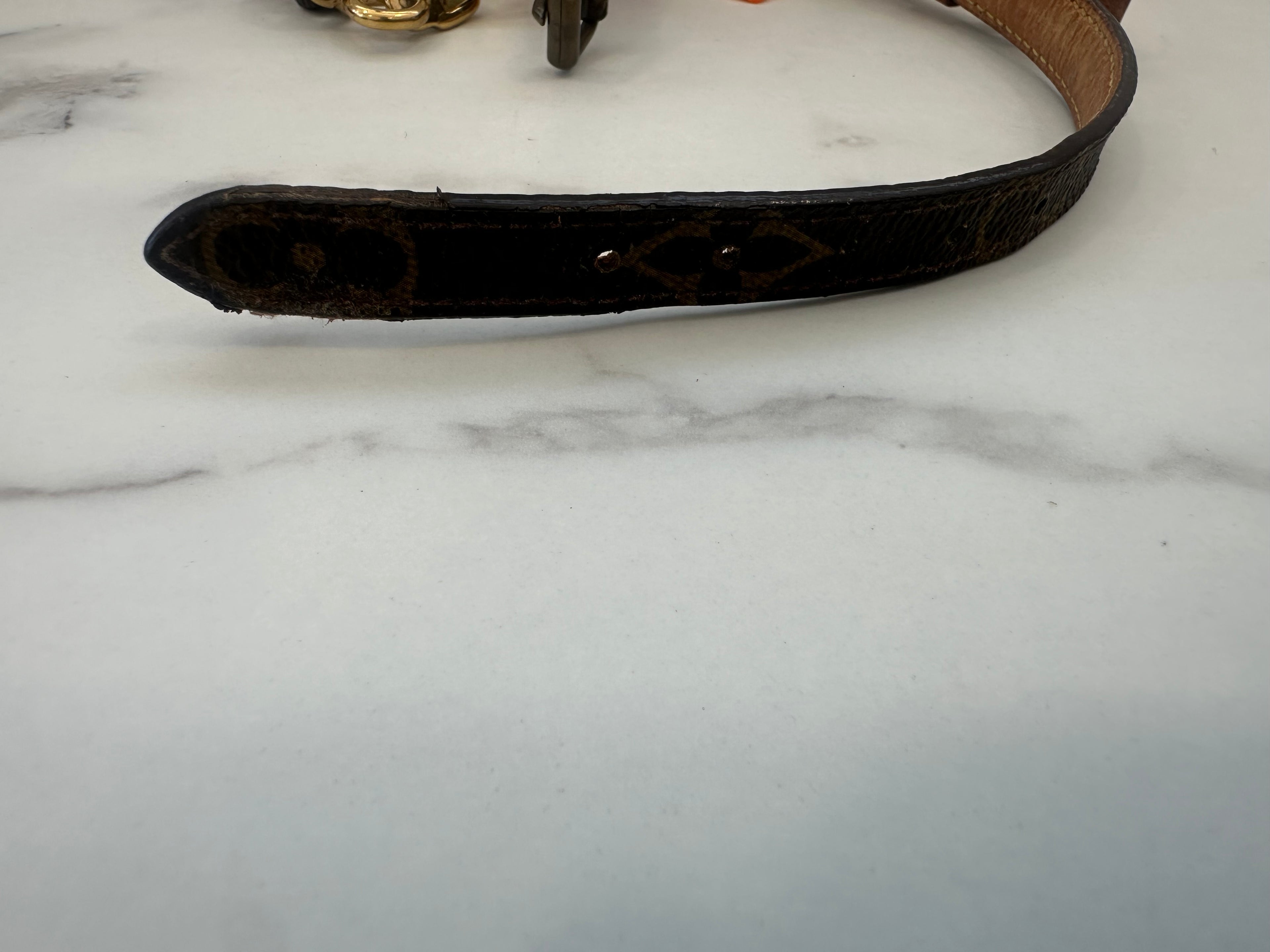 Louis Vuitton Collare+Guinzaglio