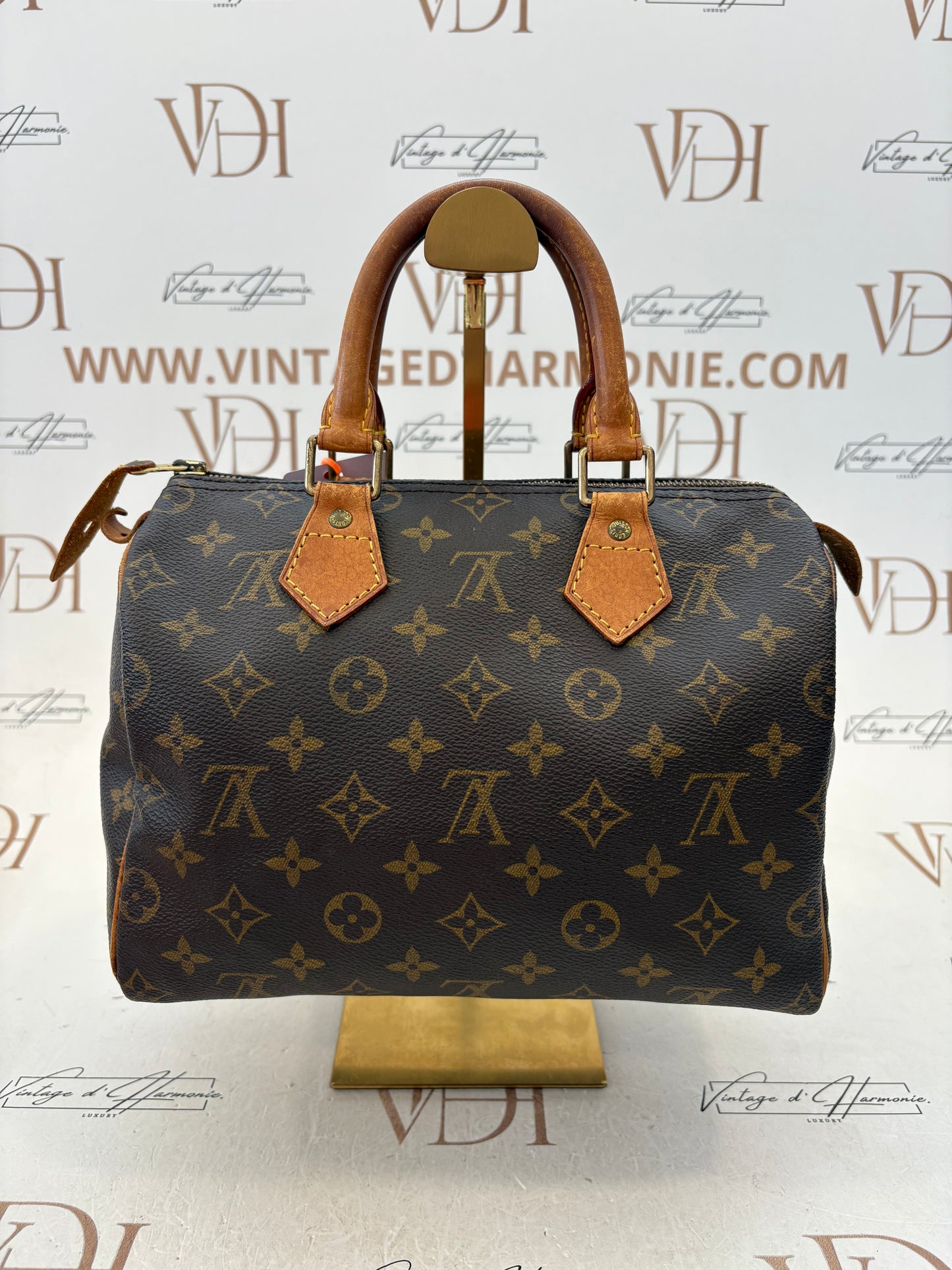 018249 - Louis Vuitton Speedy 25