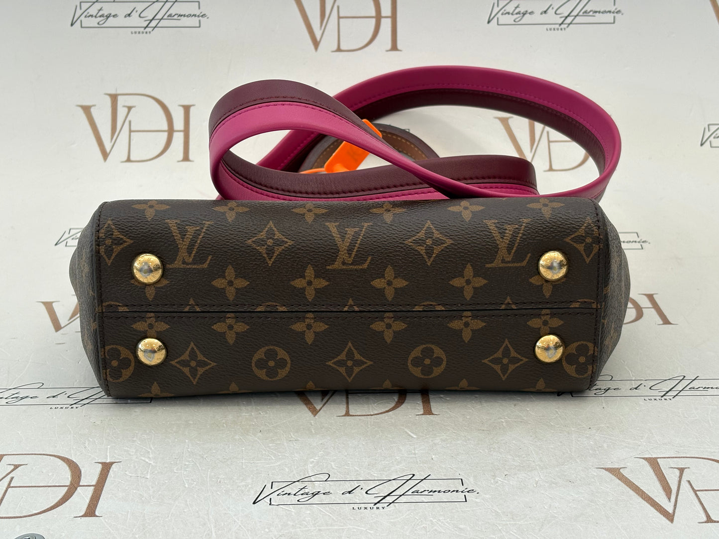 383490 - Louis Vuitton Cluny