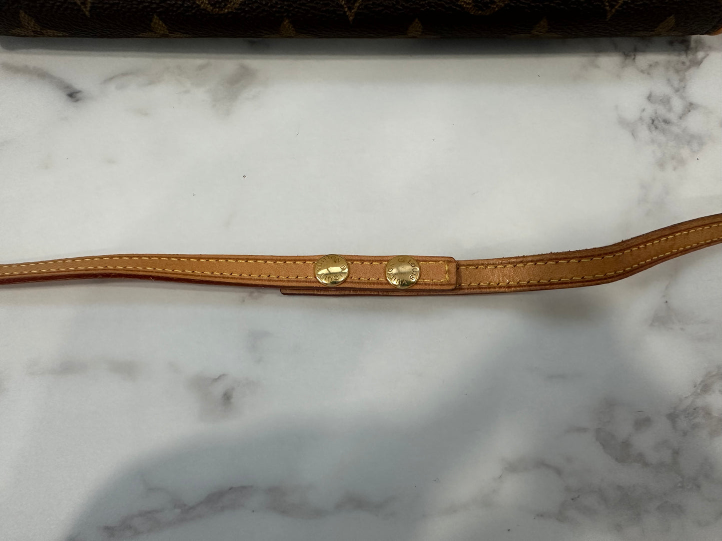 Louis Vuitton Pochette Twin GM