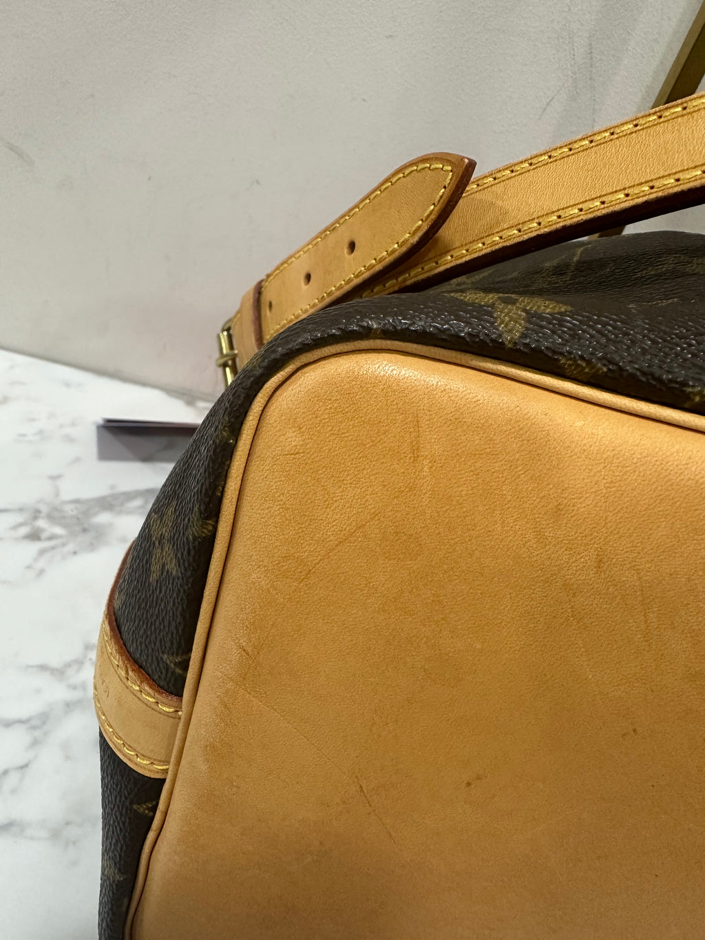 Louis Vuitton Petite Noé