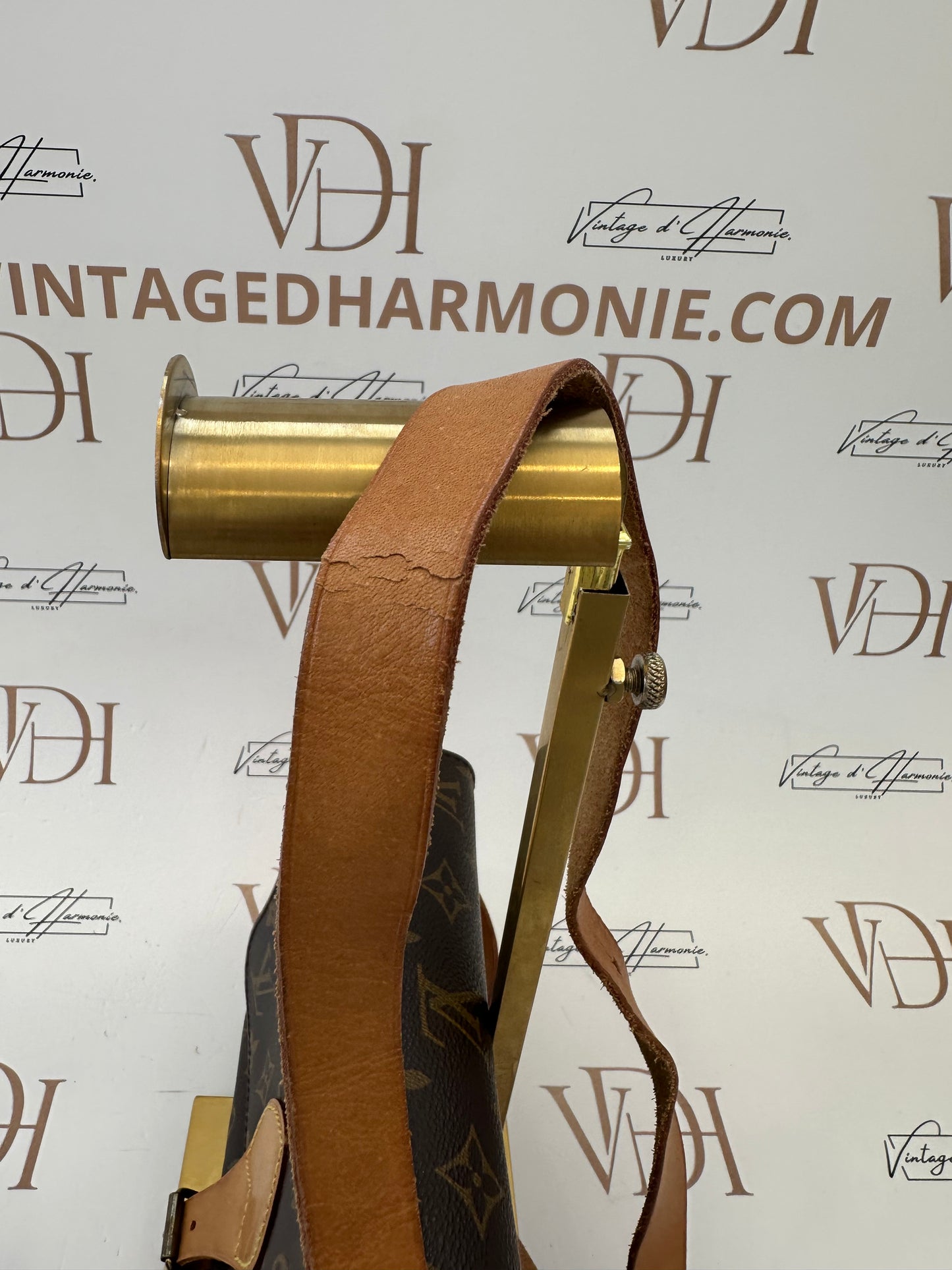017827 - Louis Vuitton Cartouchiere MM