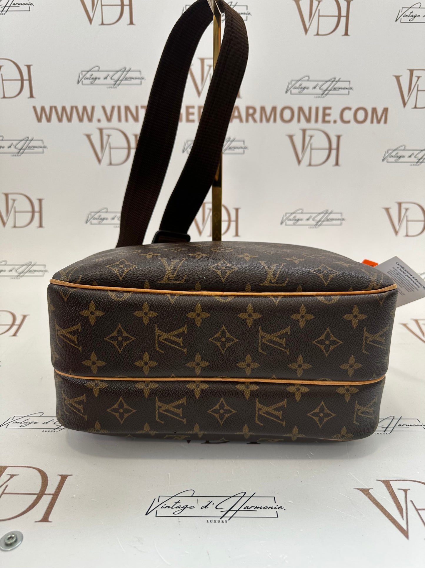 018123 - Louis Vuitton Reporter PM
