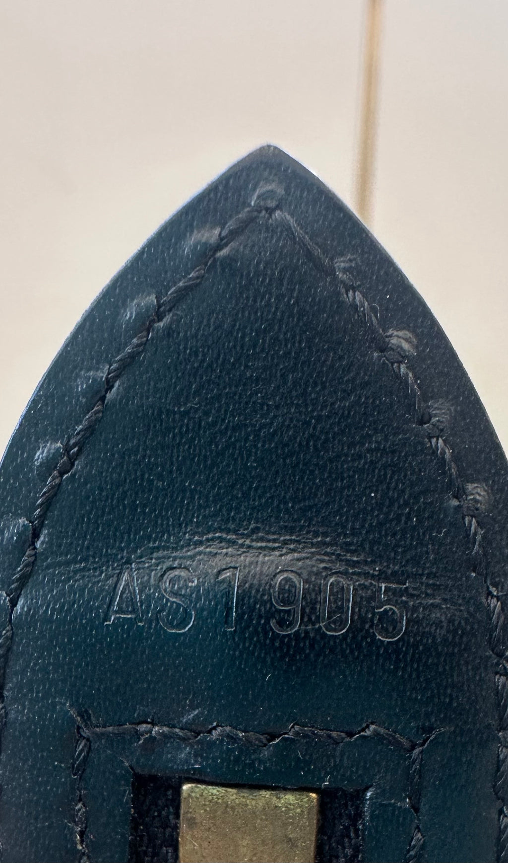 Louis Vuitton Black Epi Saint Jacques