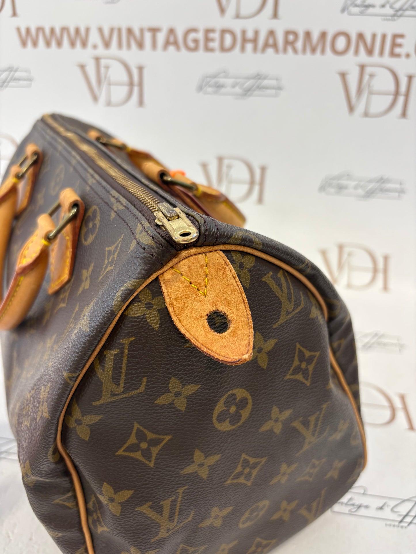 018251 - Louis Vuitton Speedy 30