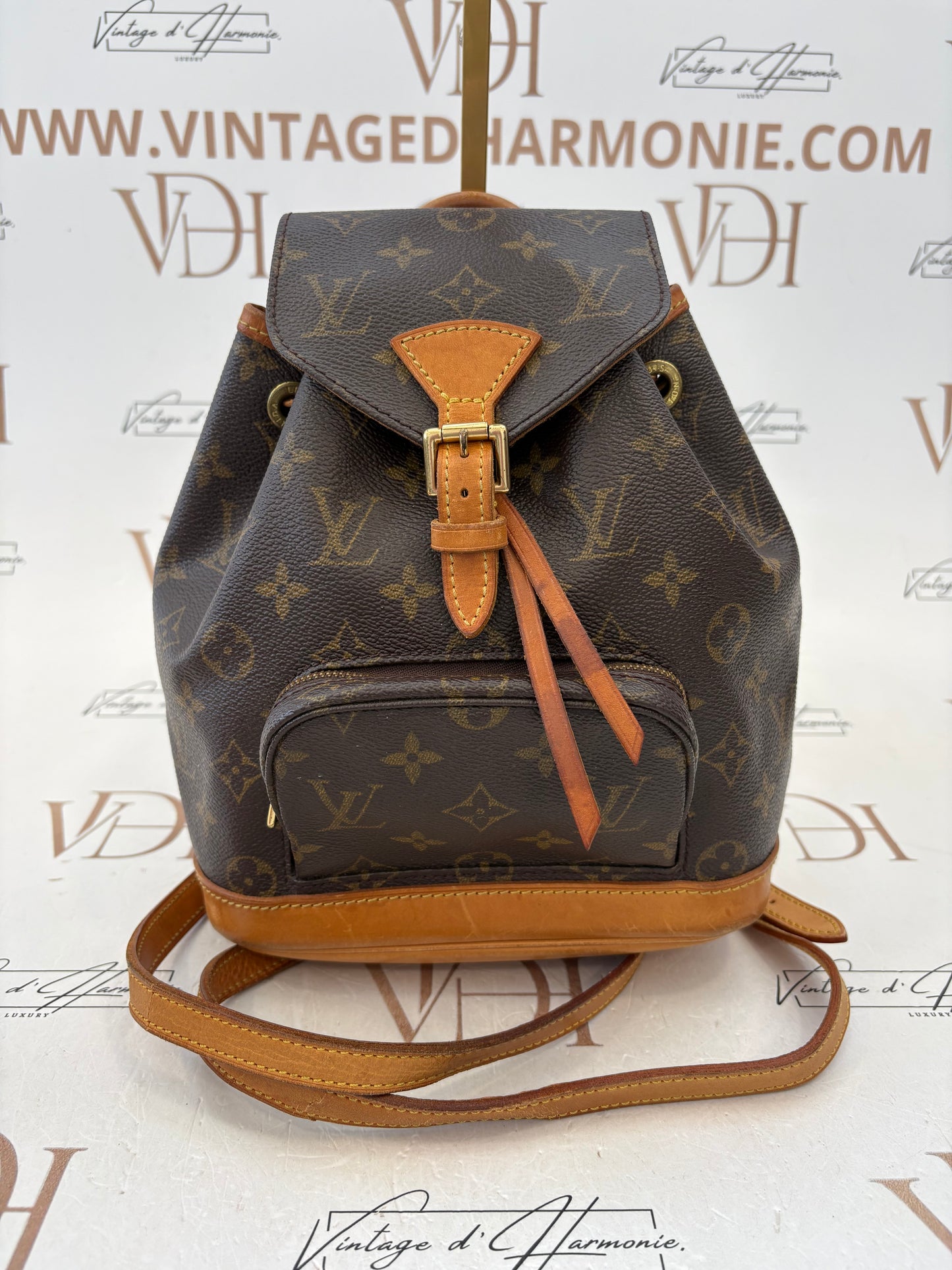 018858 - Louis Vuitton Mini Montsouris