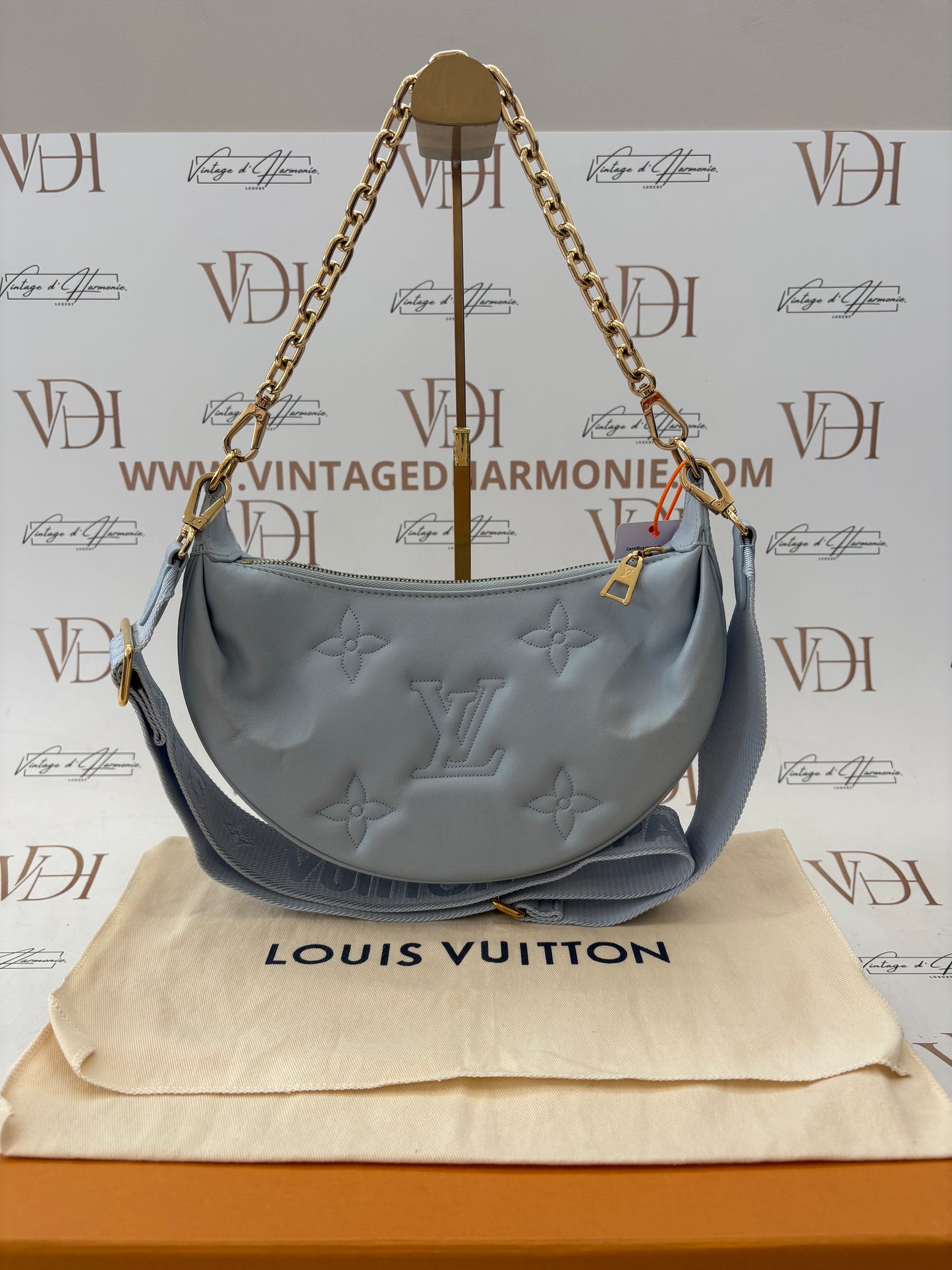 018554 - Louis Vuitton Light Blue Bubblegram Over The Moon