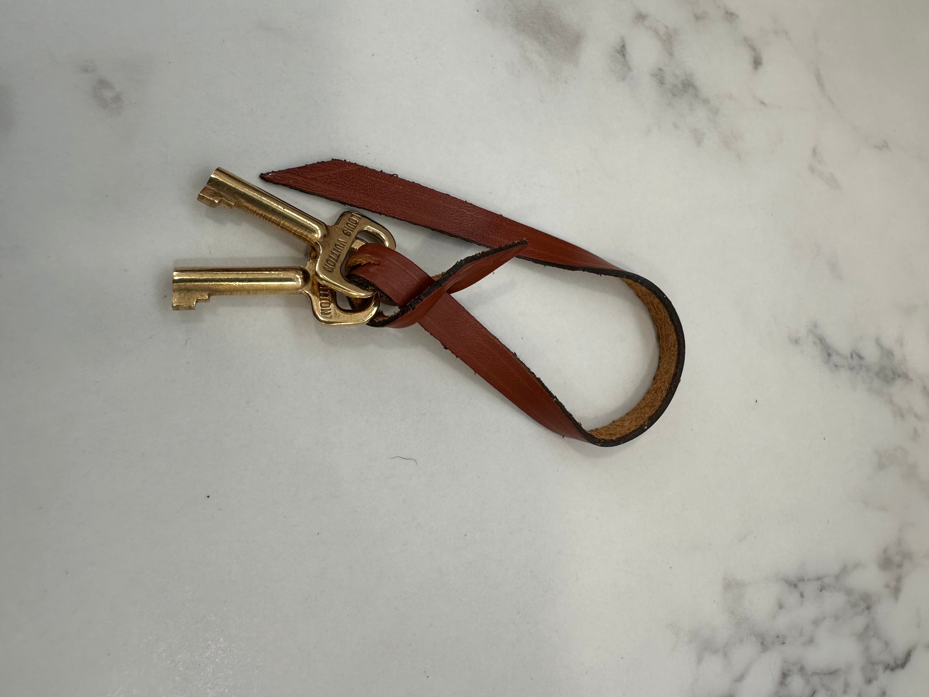 Louis Vuitton Brown Epi Pochette Sellier Dragonne