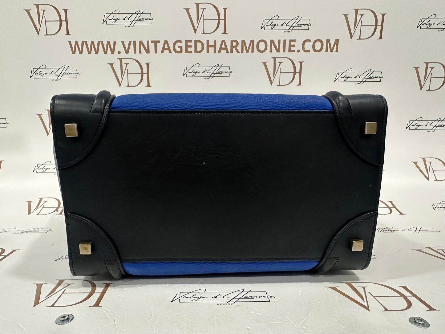 382582 - Cèline Luggage