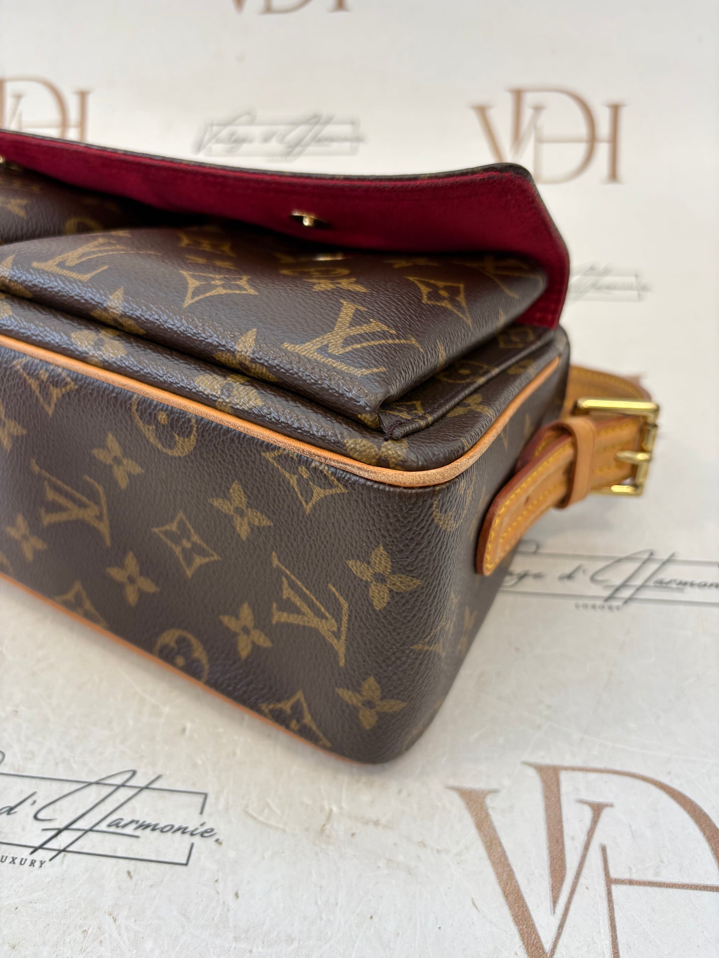 018593 - Louis Vuitton Viva Cite MM