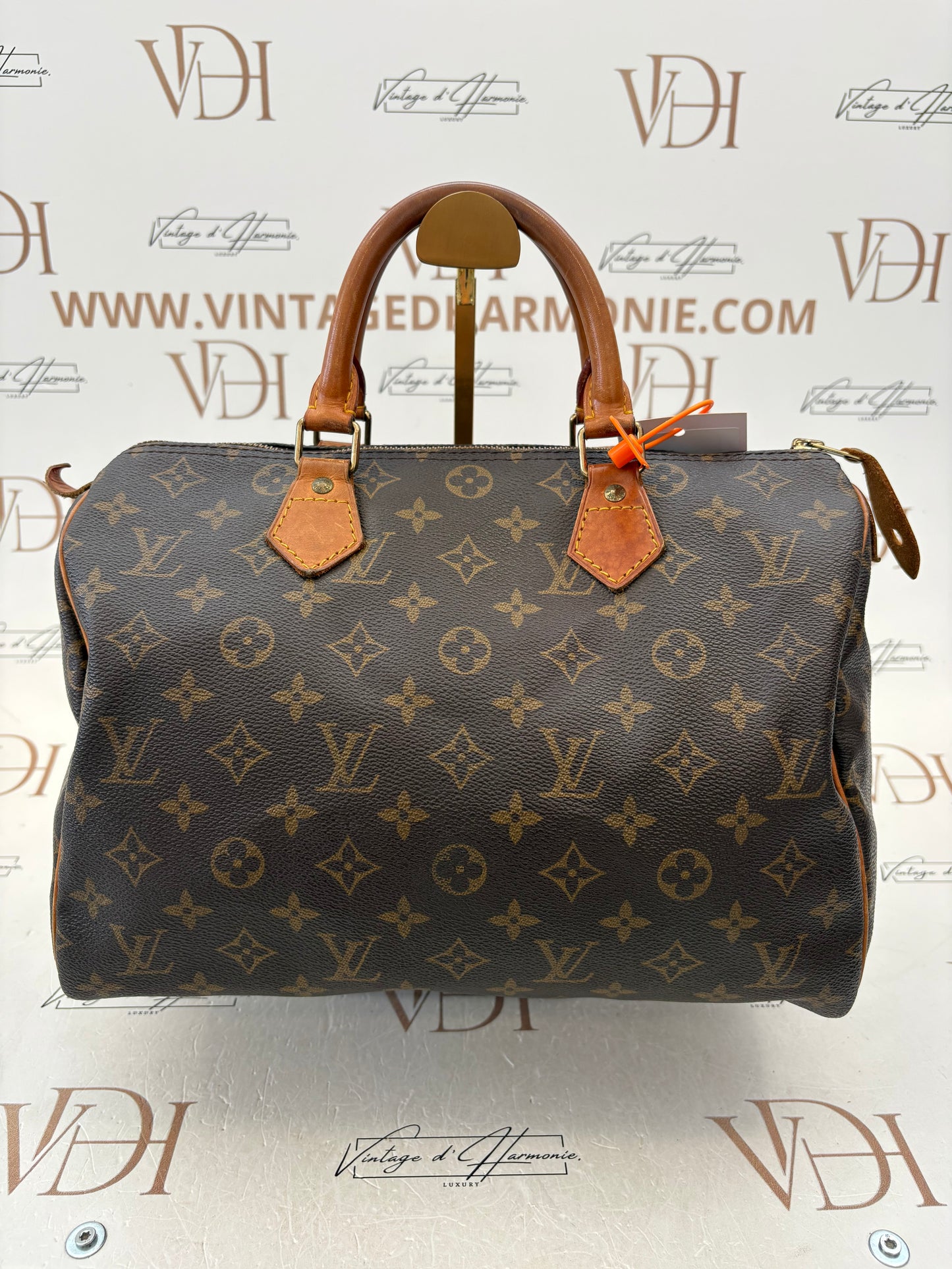018808 - Louis Vuitton Speedy