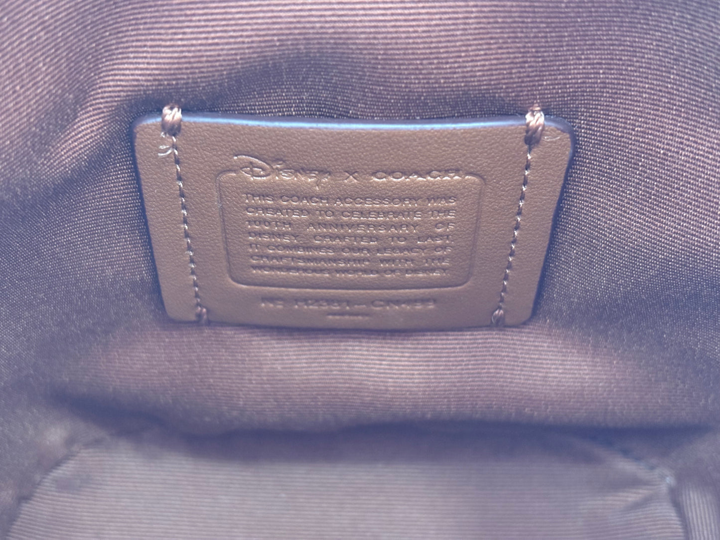 382692 - Coach Disney