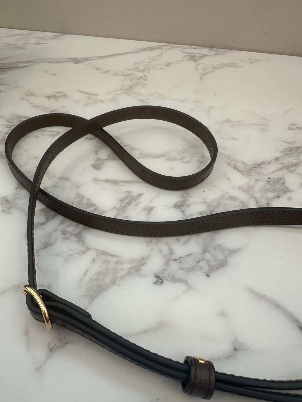 Gucci Brown GG Supreme Blondie