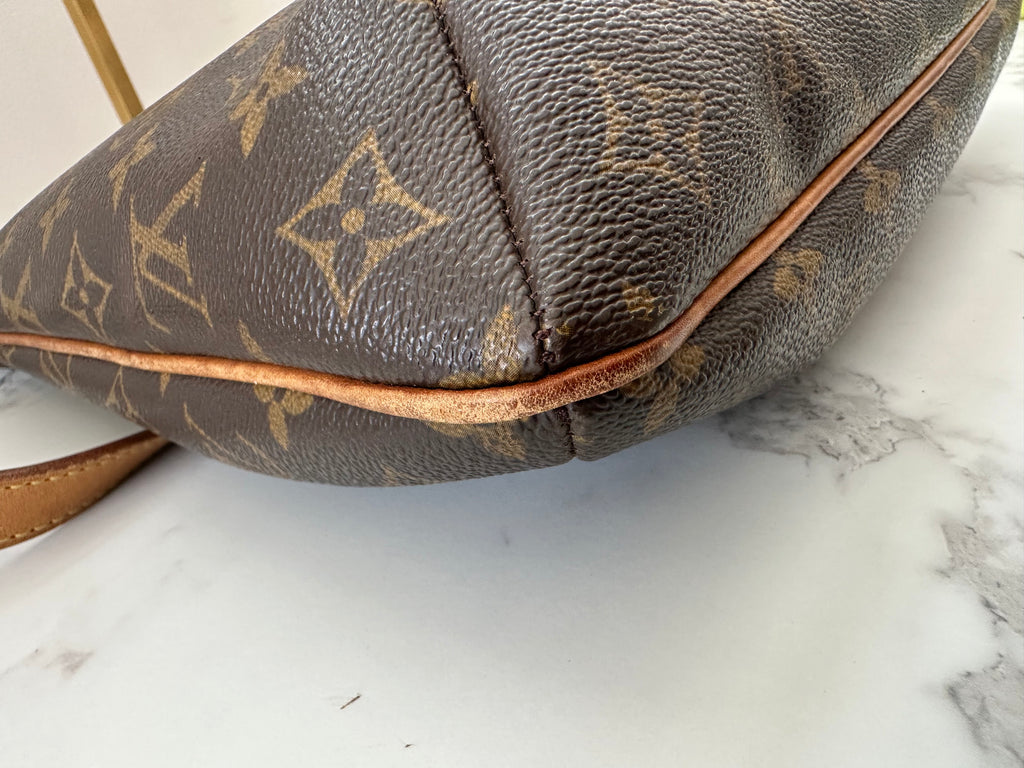 Louis Vuitton Musette