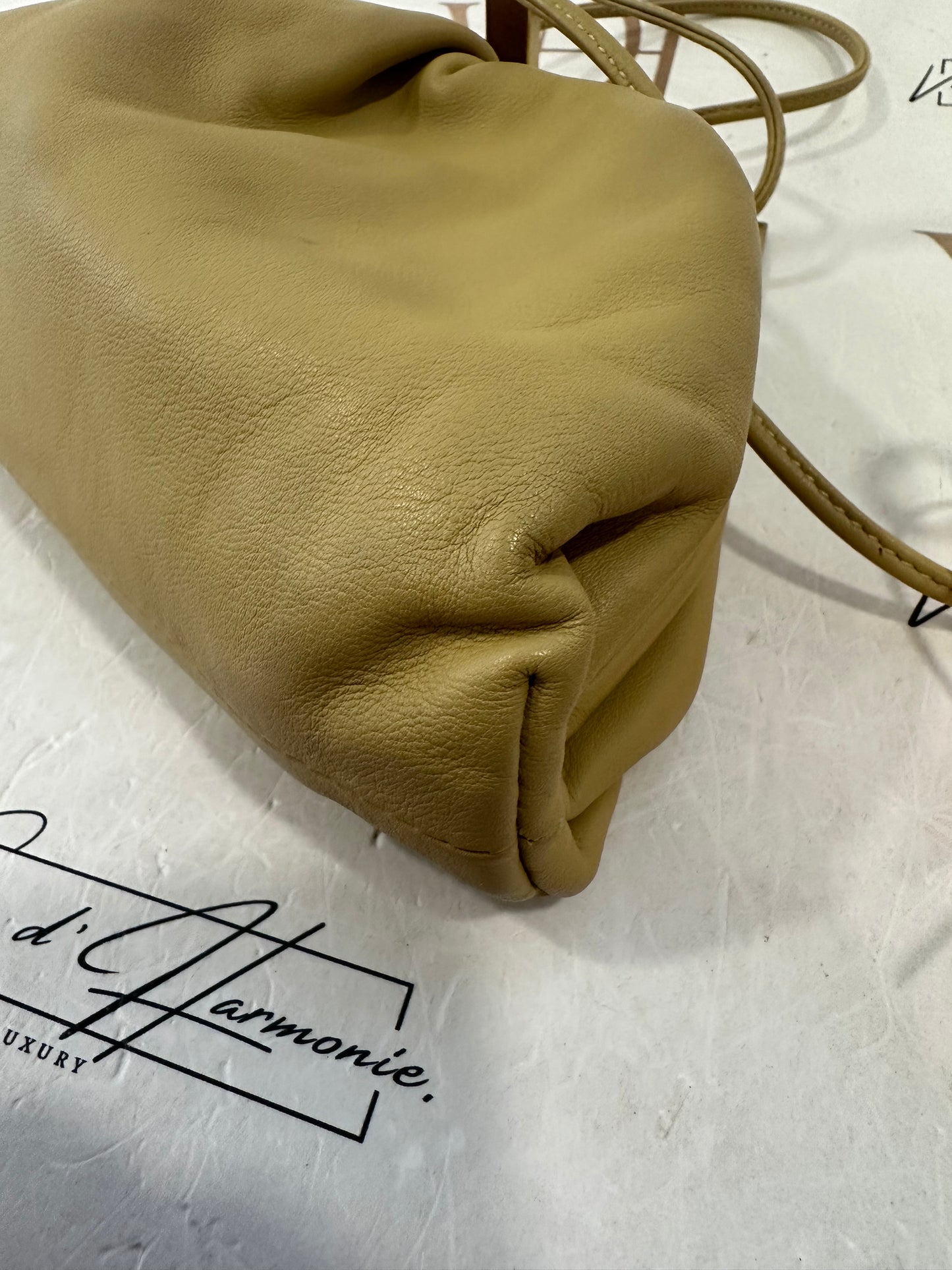 382779 - Bottega Veneta Pouch