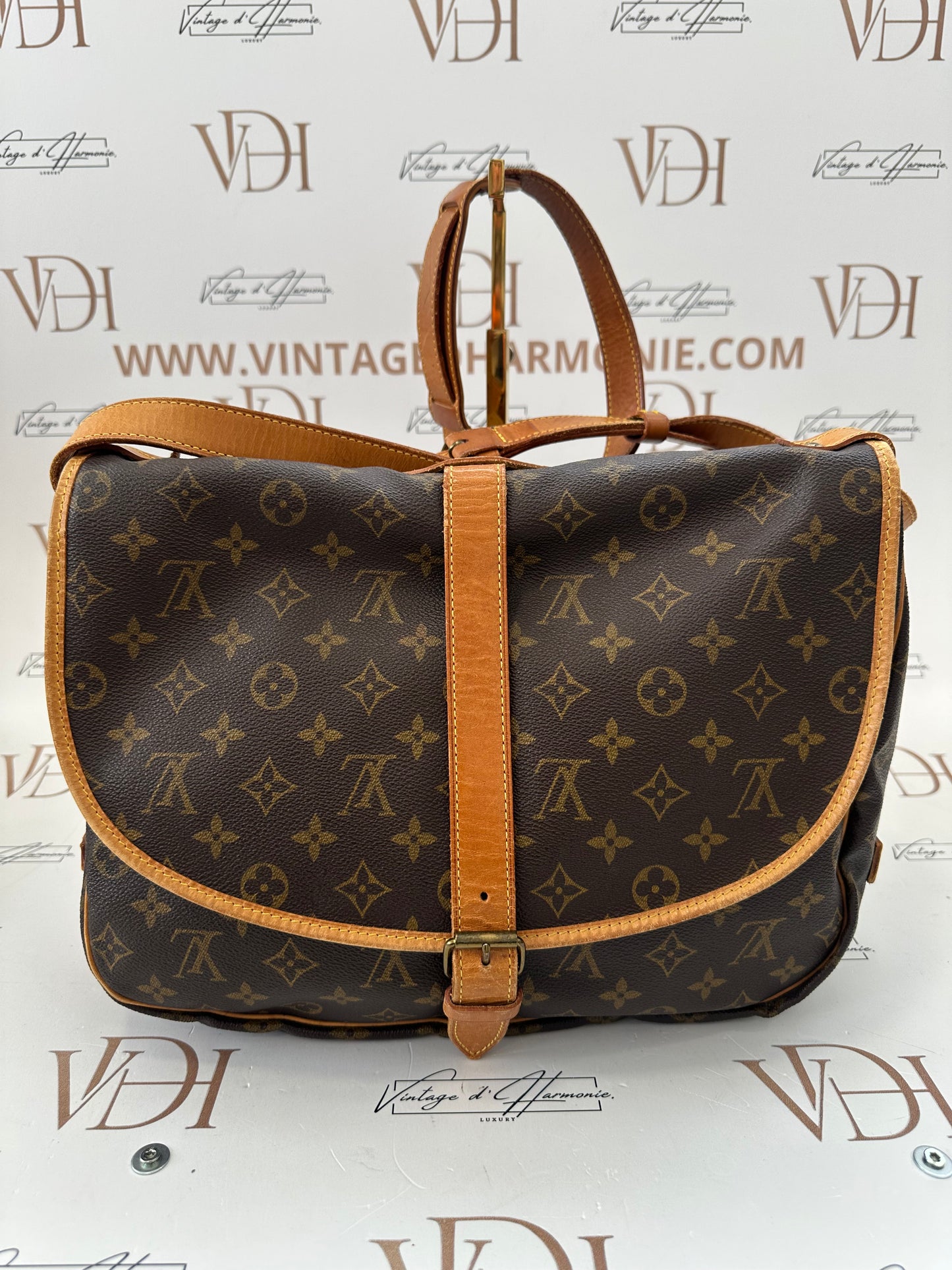 018125 - Louis Vuitton Saumur 35