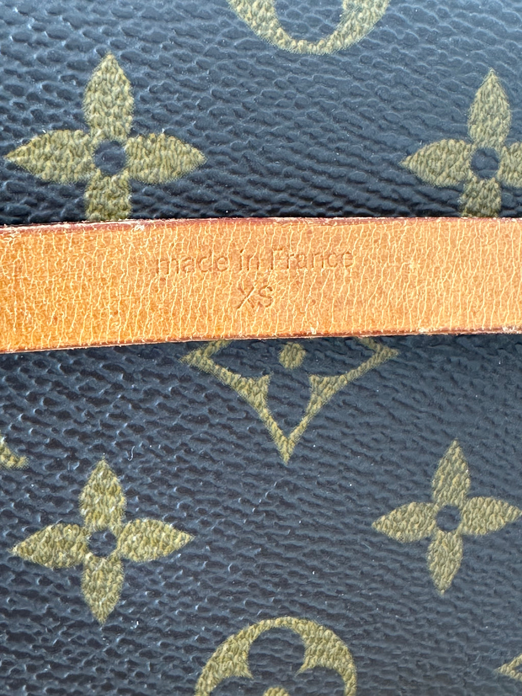 Louis Vuitton Florentine XS