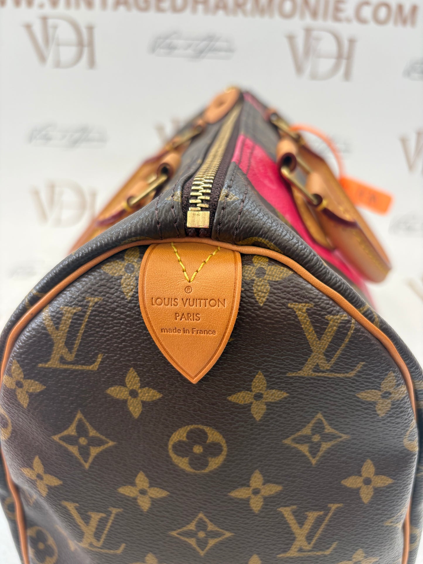 384207 - Louis Vuitton Speedy 30