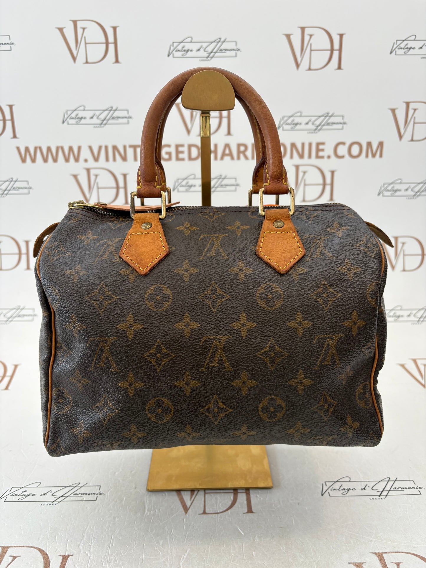 017738 - Louis Vuitton Speedy 25