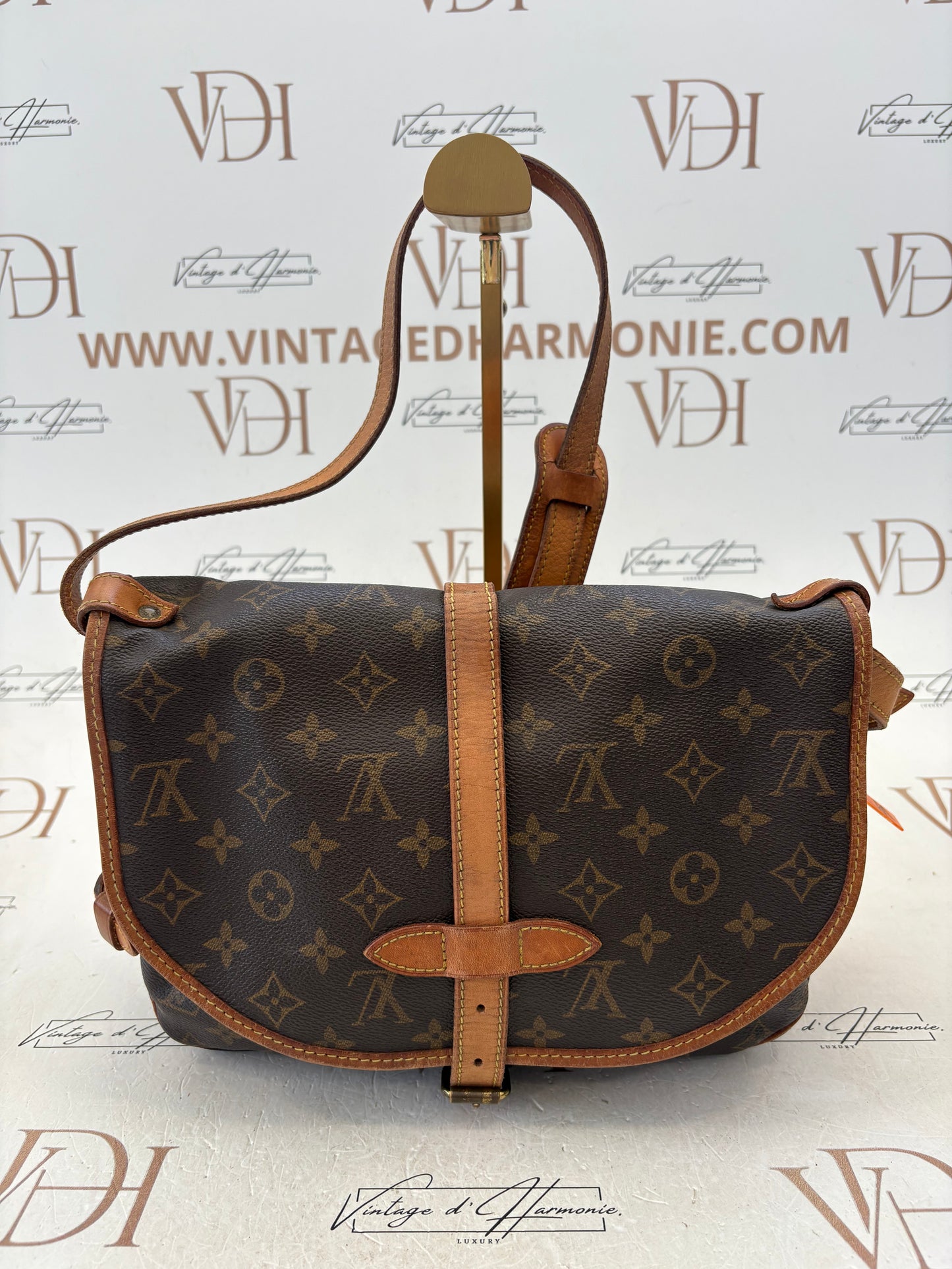 016959 - Louis Vuitton Saumur 30