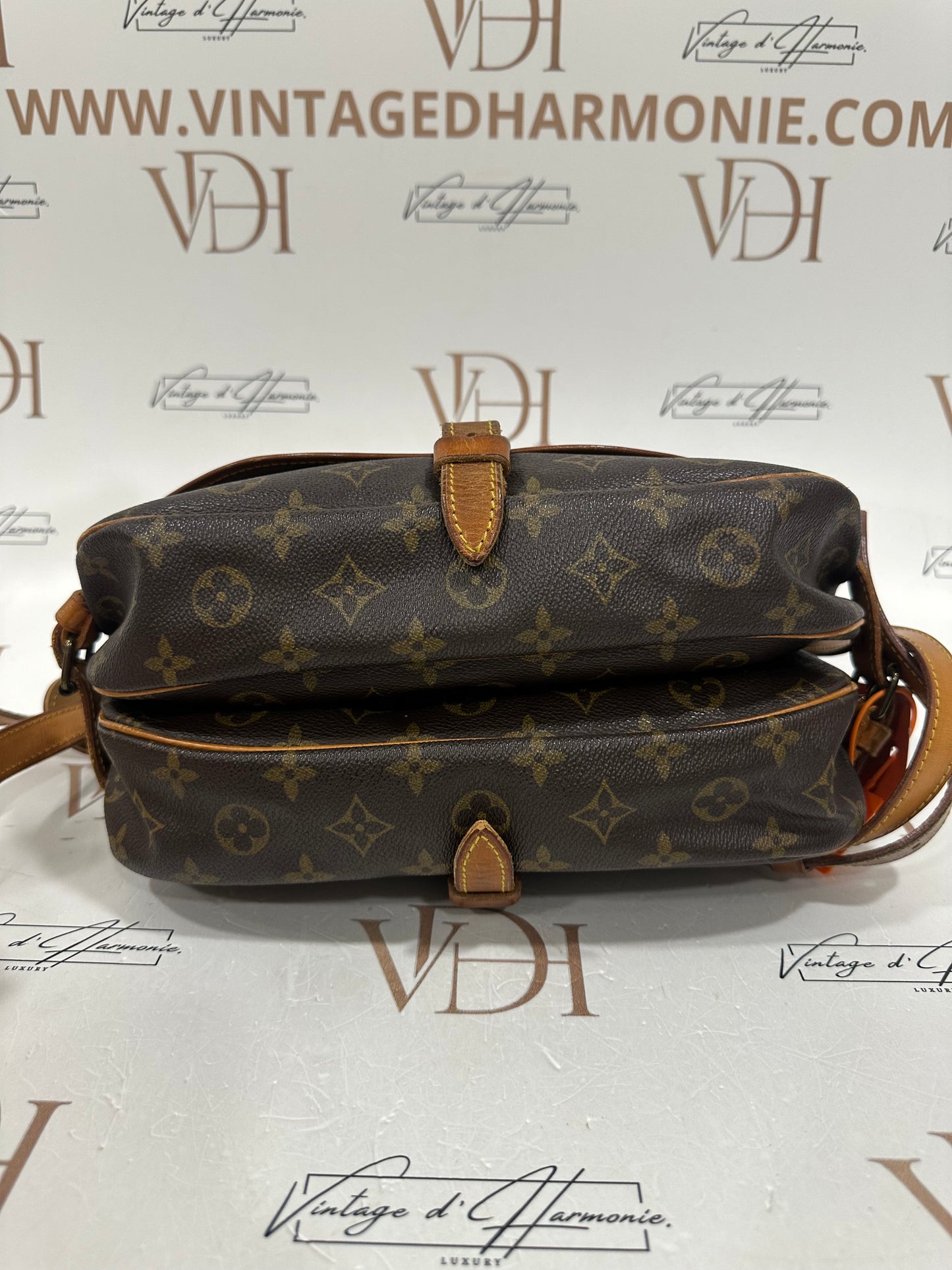 017874 - Louis Vuitton Saumur 30