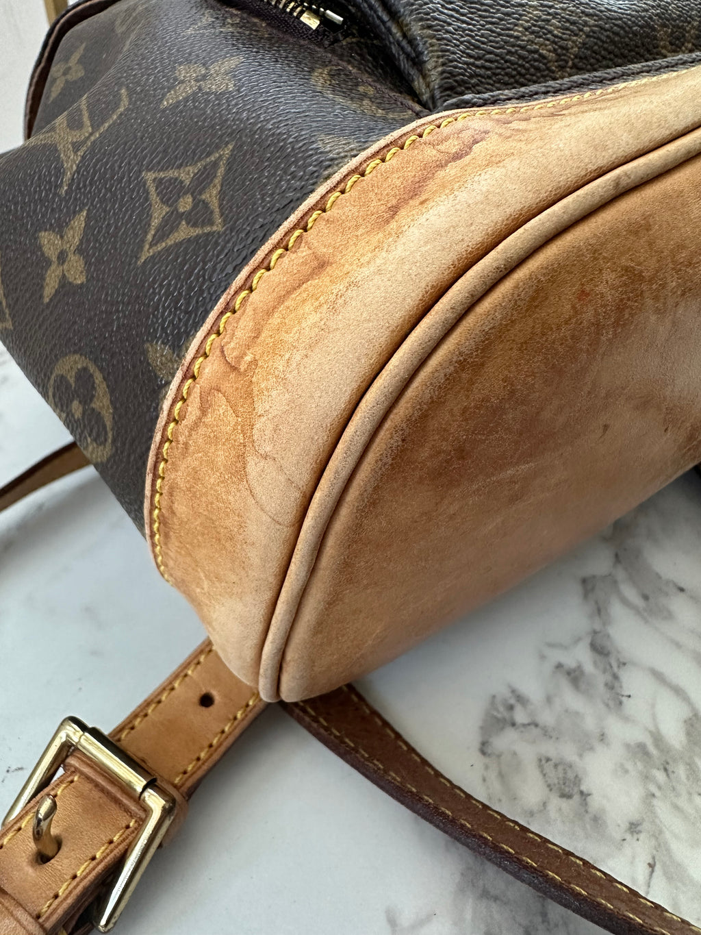 Louis Vuitton Montsouris MM