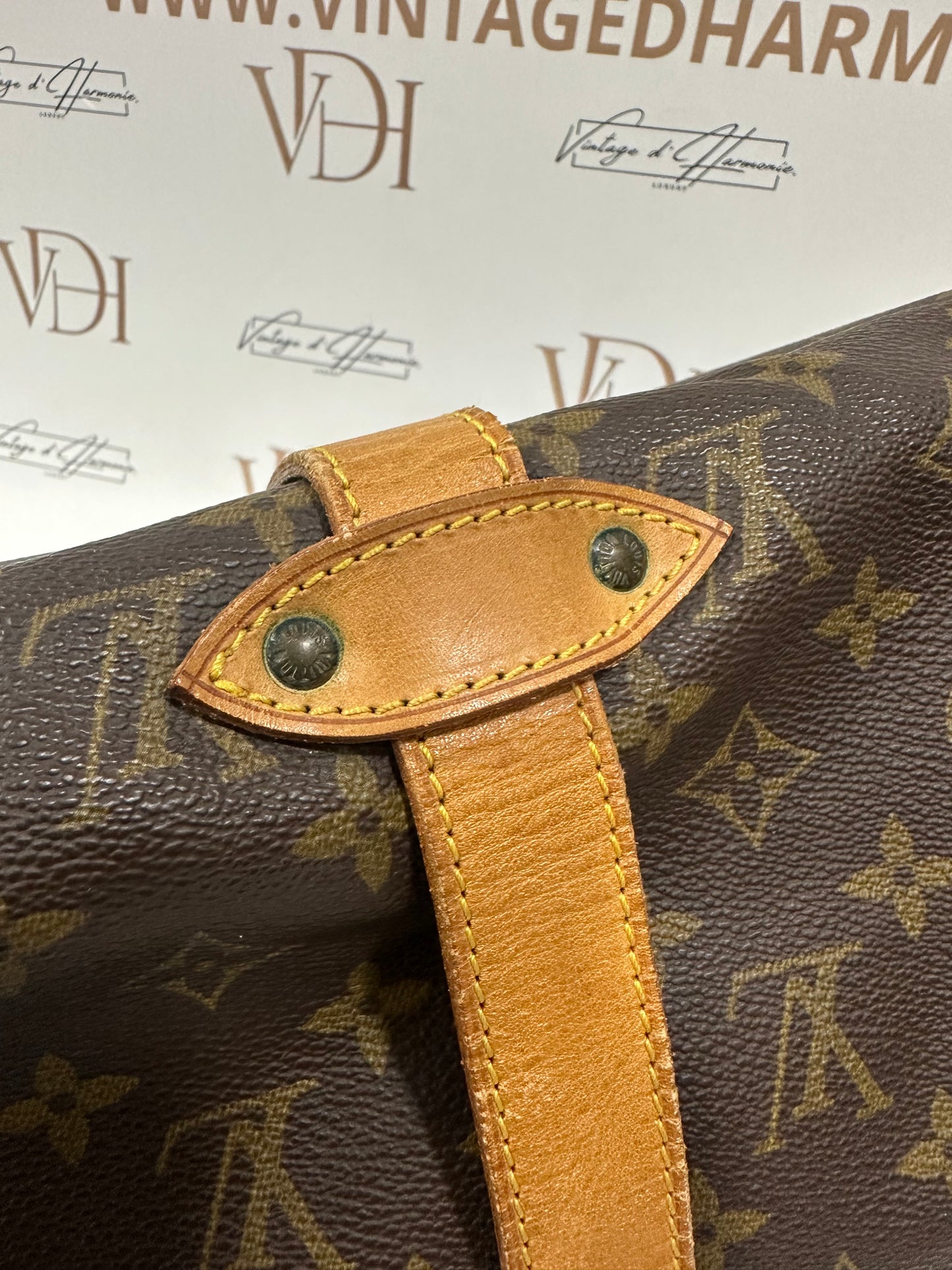 016862 - Louis Vuitton Saumur 35