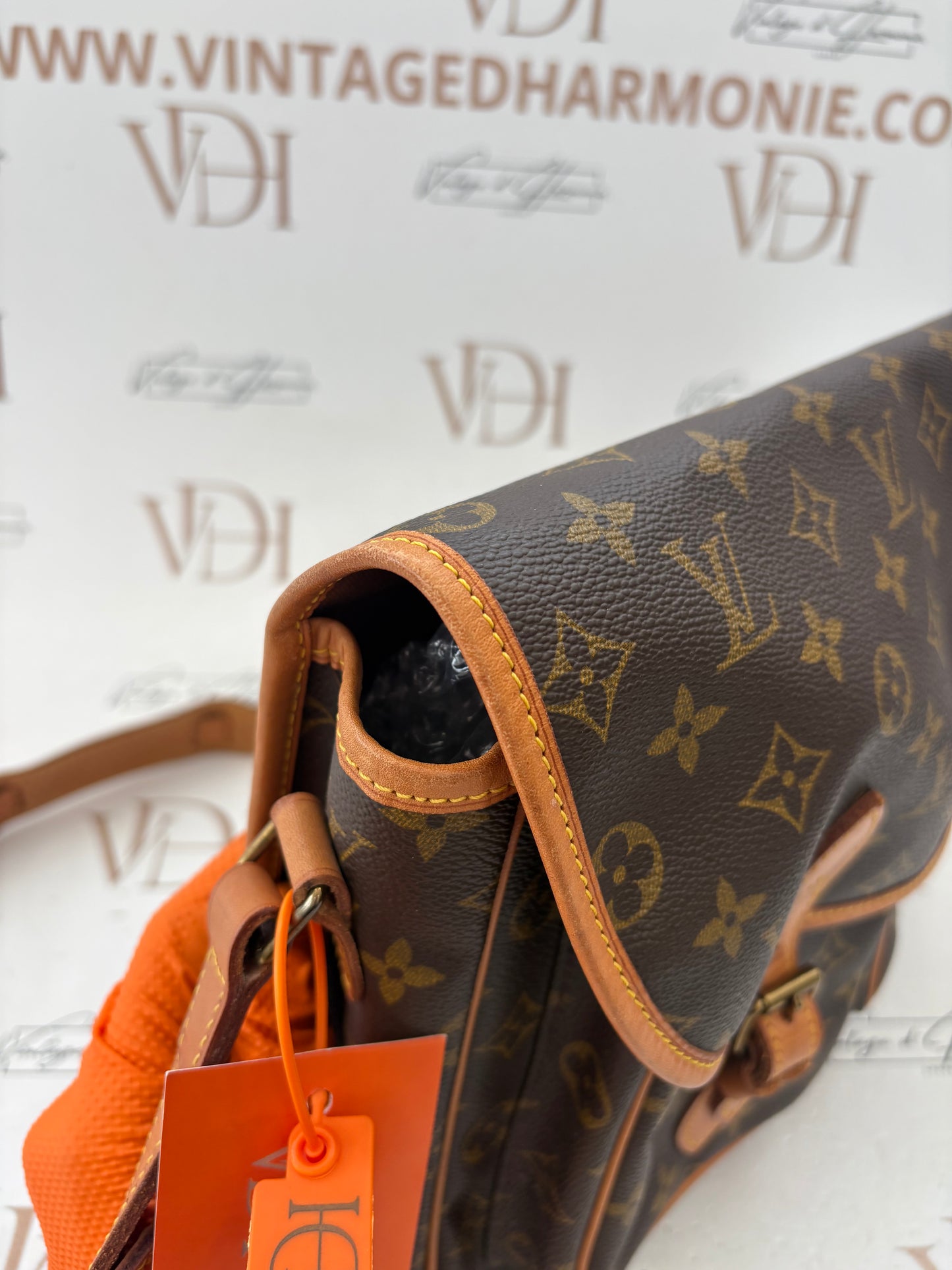 018966 - Louis Vuitton Gibeciere