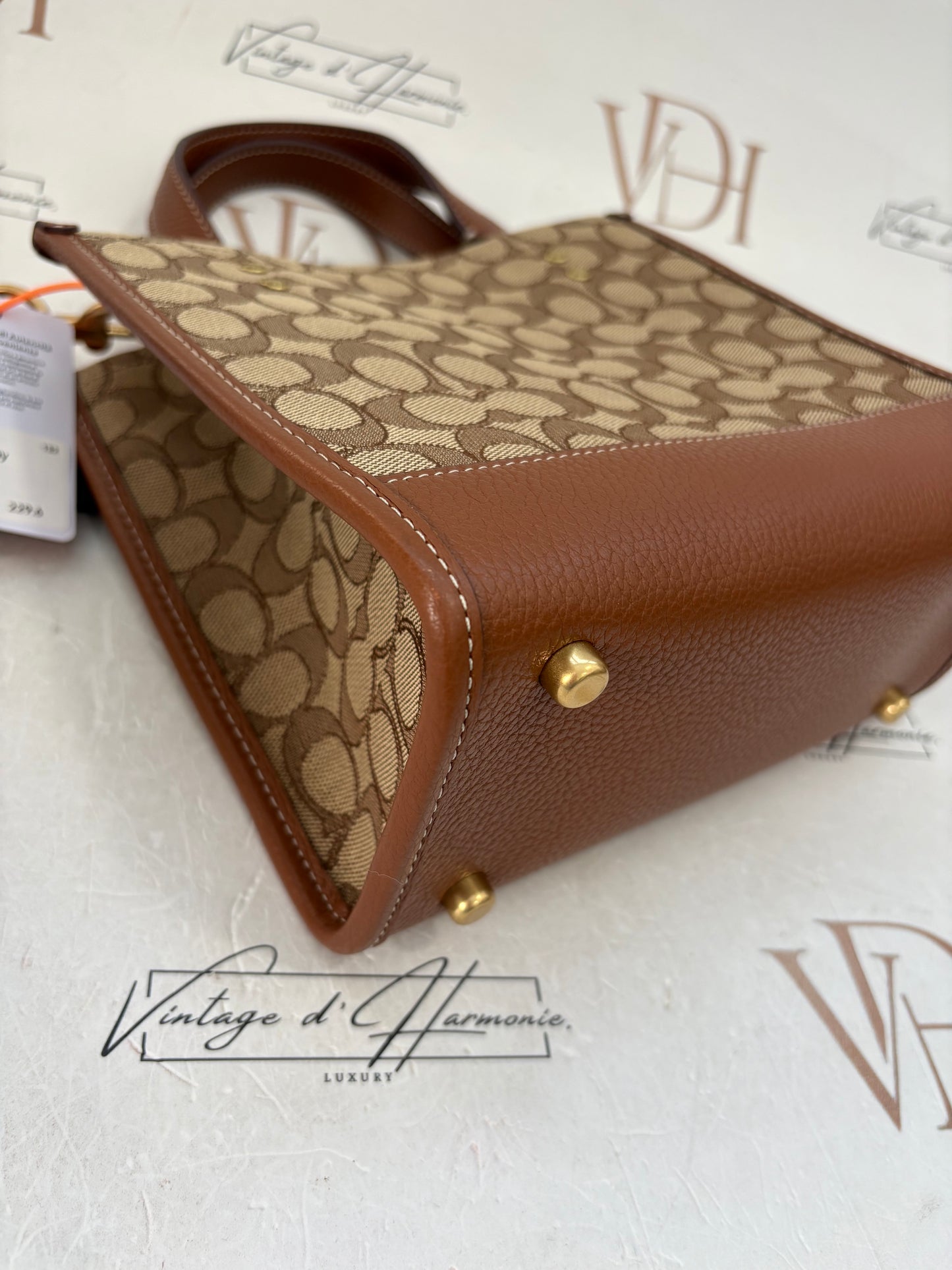 382695 - Coach Disney