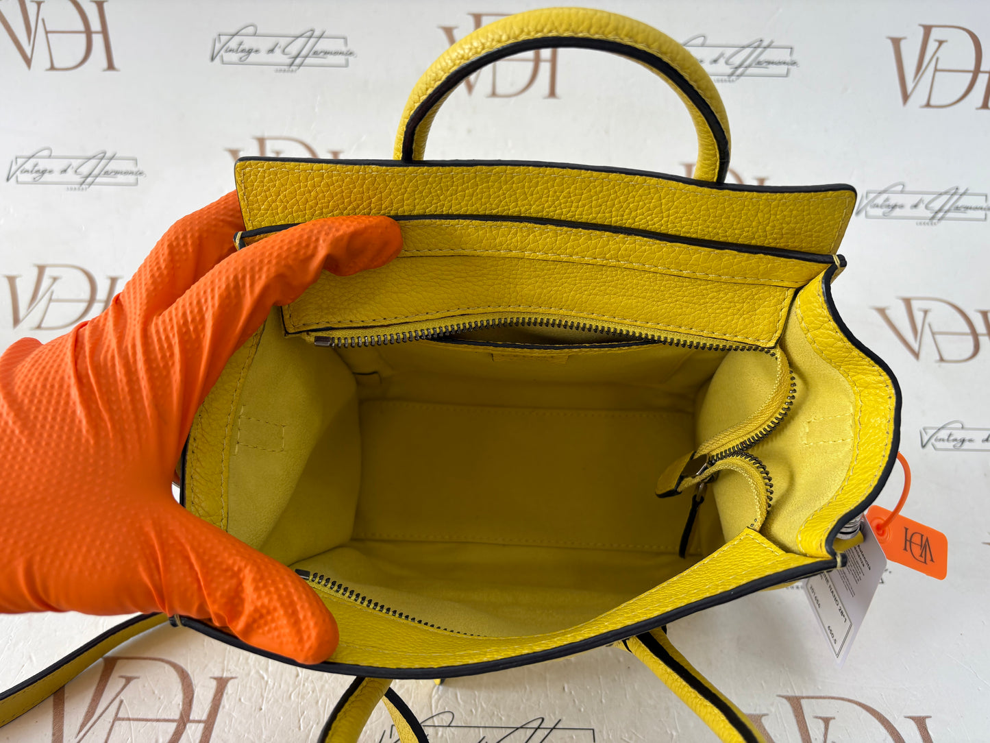 201654 - Céline Nano