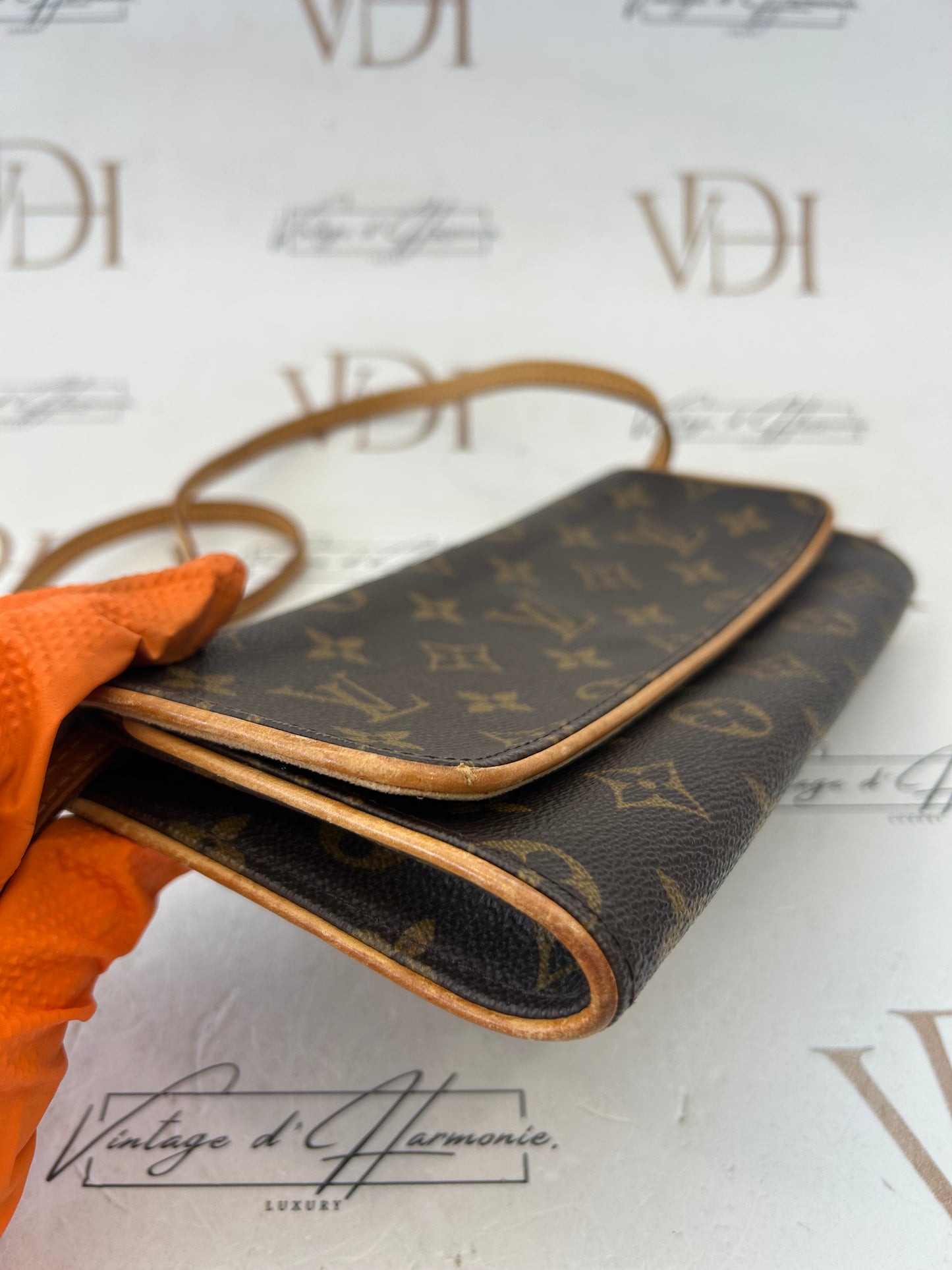 017225 - Louis Vuitton Twin GM
