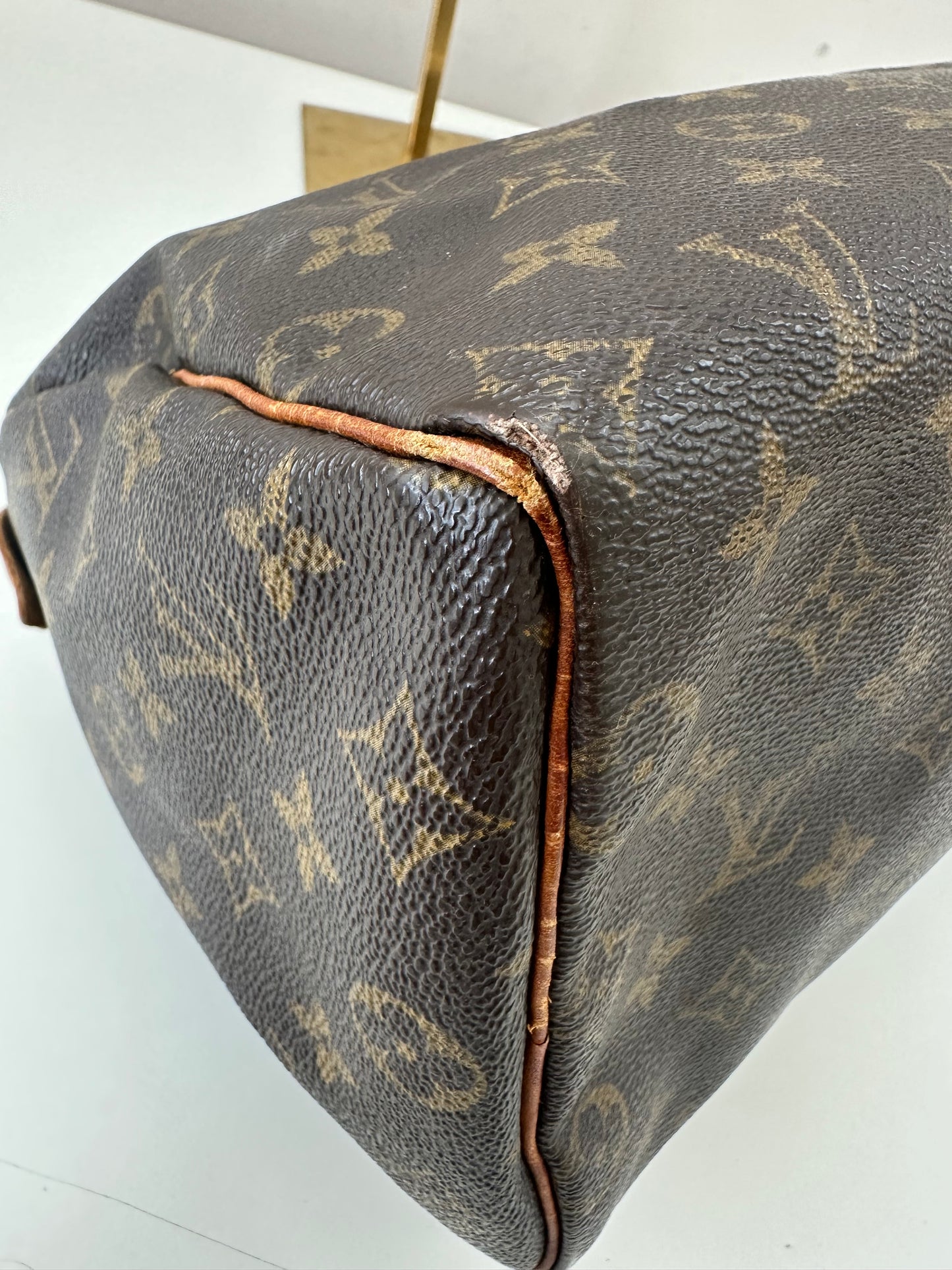Louis Vuitton Speedy 25
