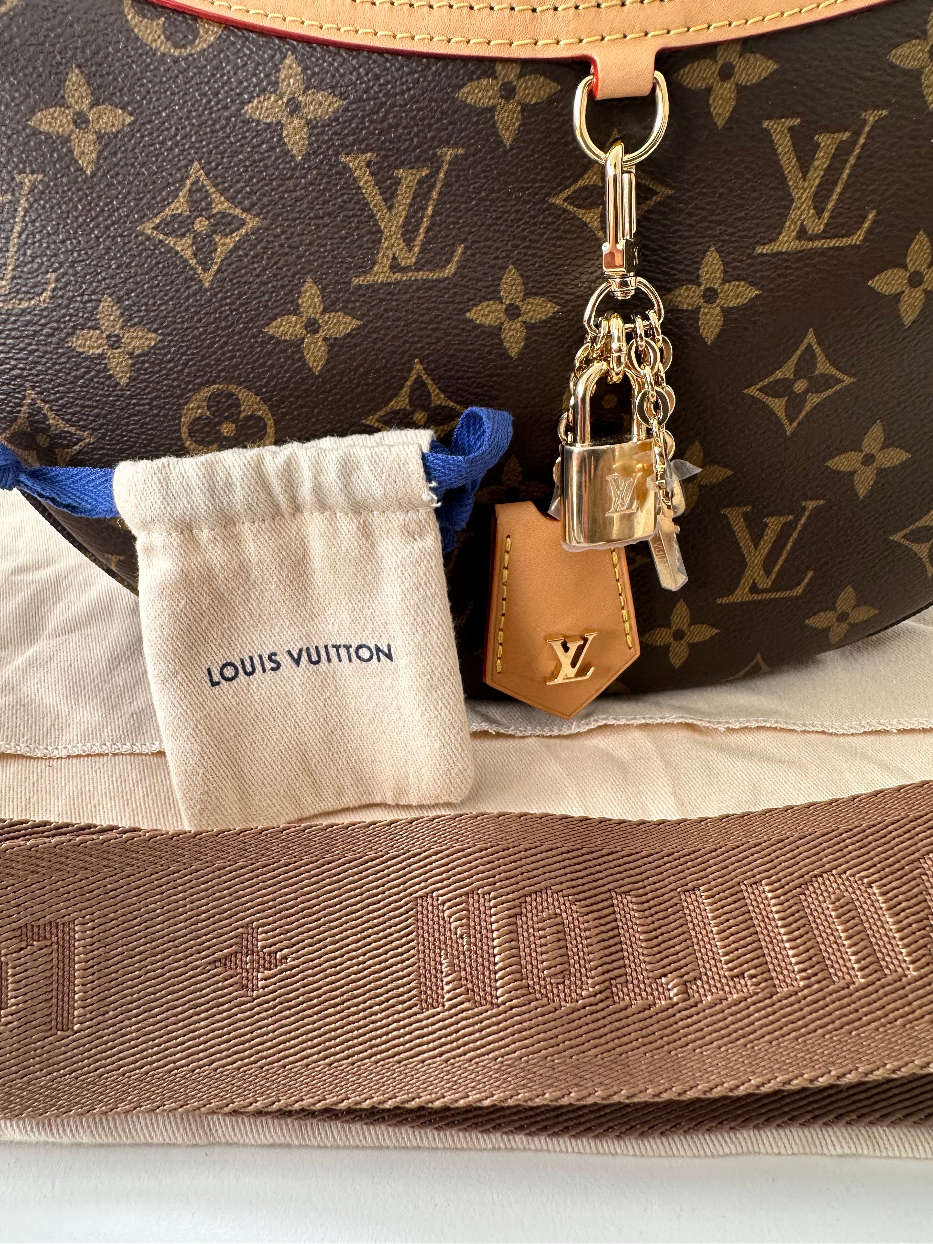 Louis Vuitton Looping