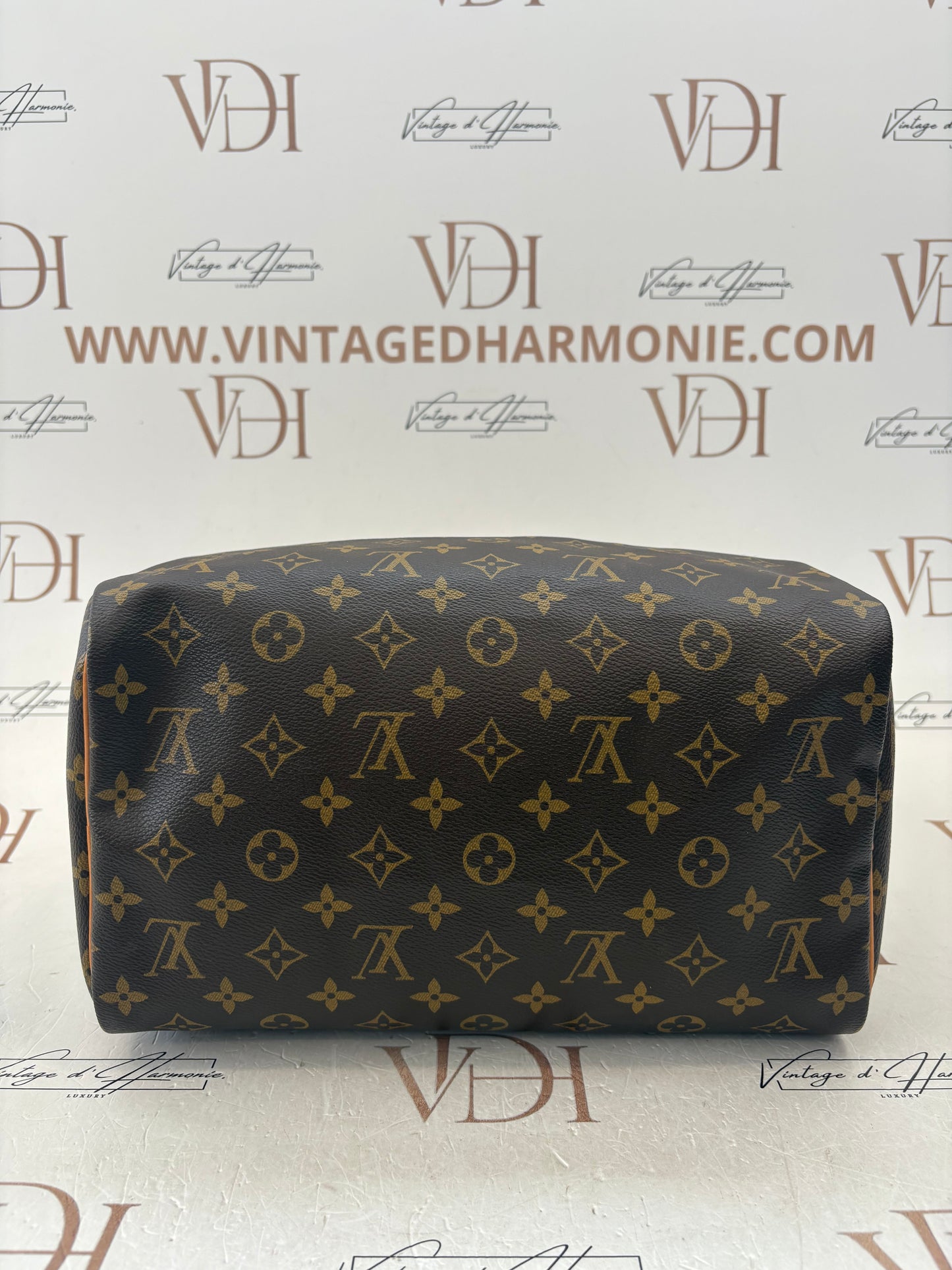 384207 - Louis Vuitton Speedy 30