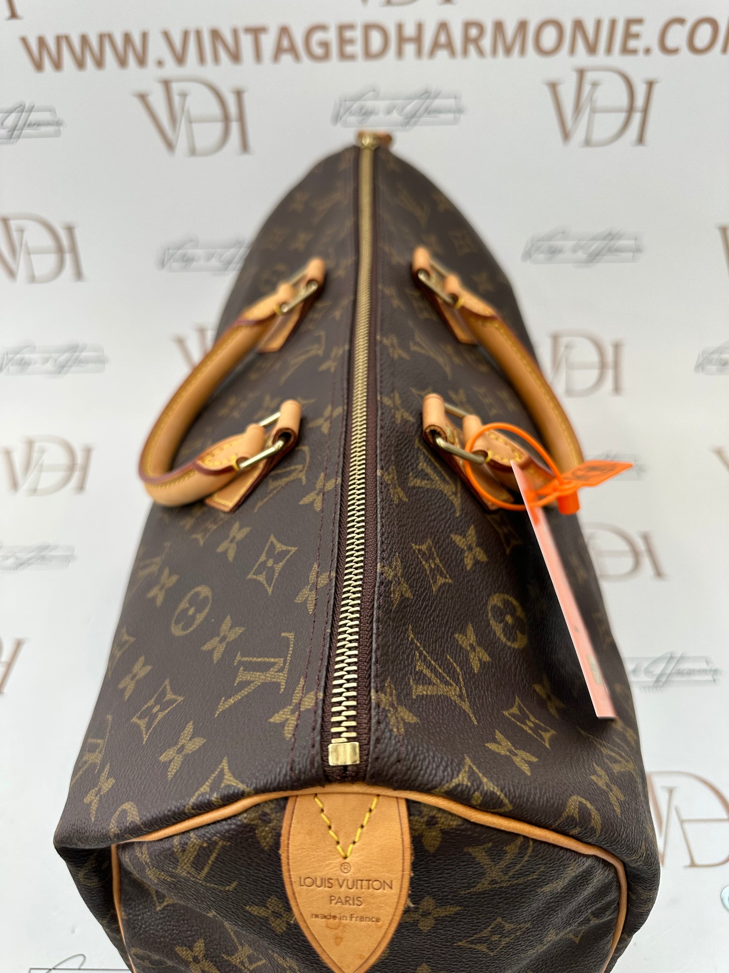 017920 - Louis Vuitton Speedy 40