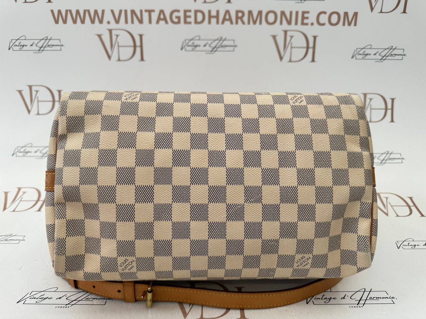 382964 - Louis Vuitton Speedy 30