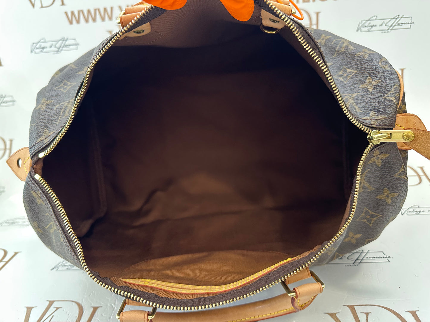 017909 - Louis Vuitton Speedy 40