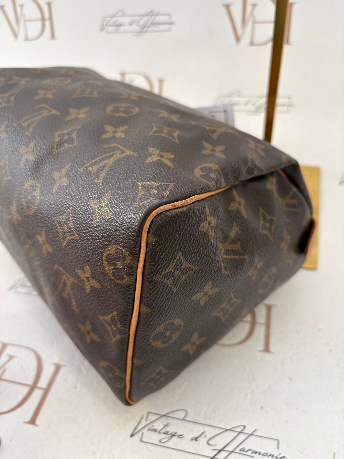 018244 - Louis Vuitton Speedy 25