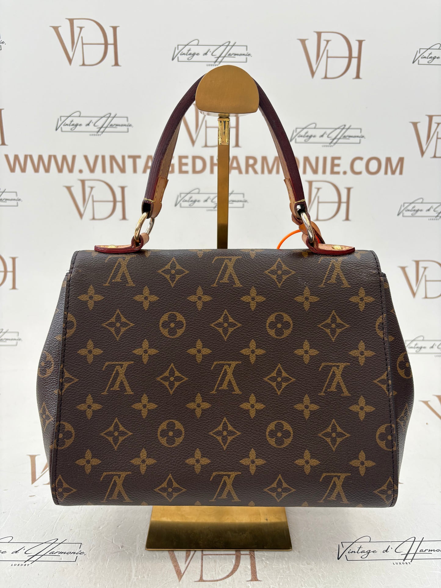 201103 - Louis Vuitton Cluny