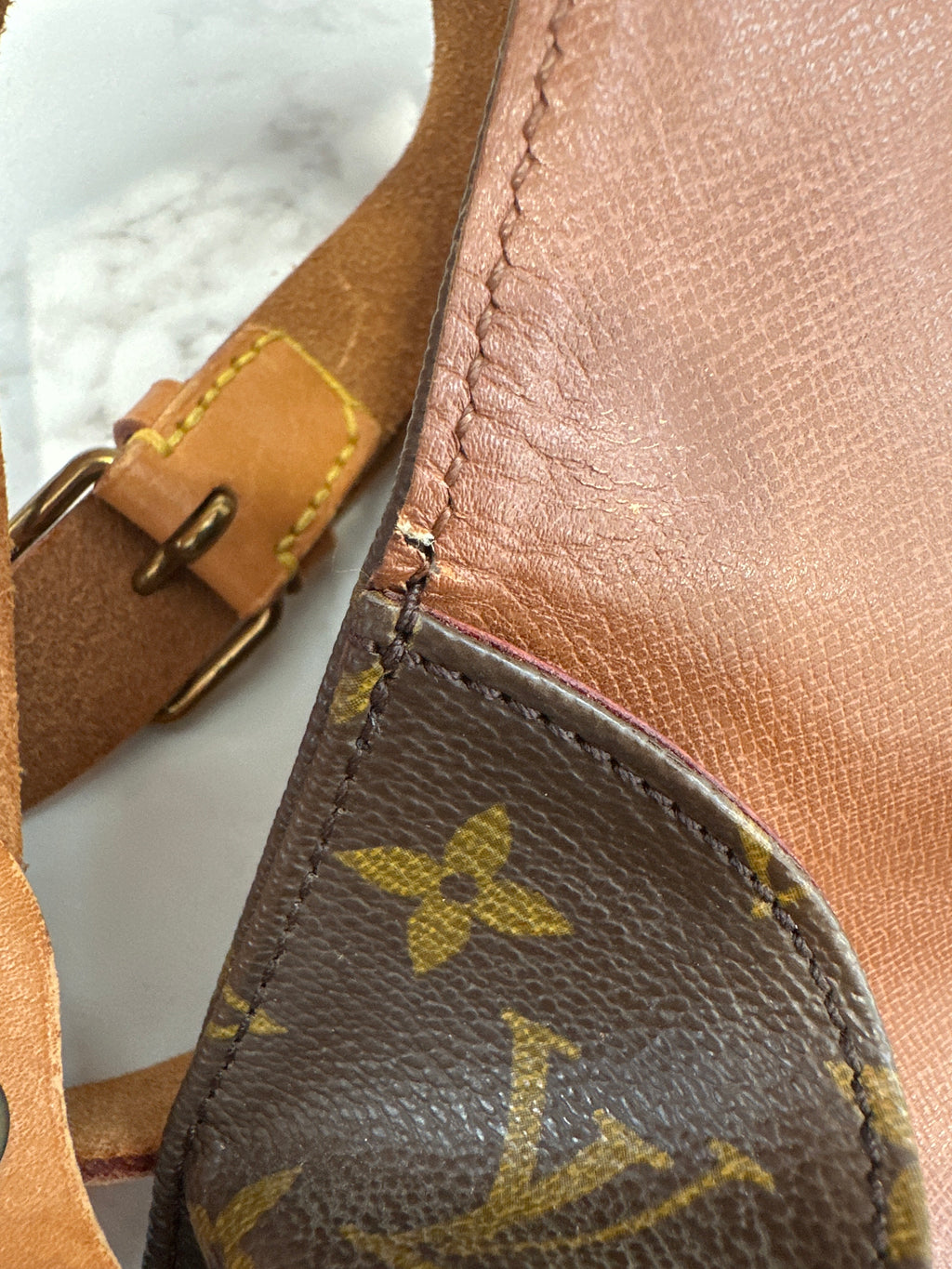 Louis Vuitton Cartouchiere GM